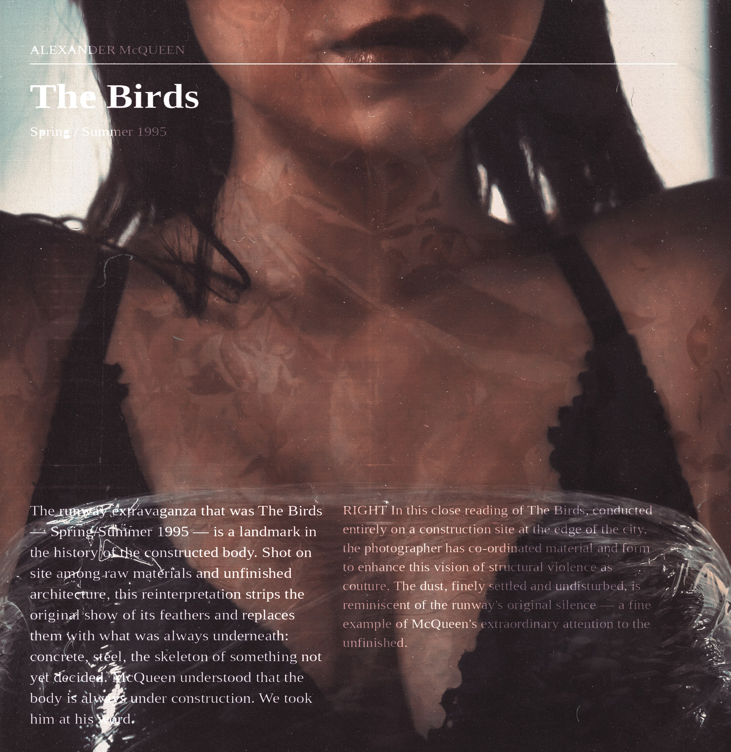 The birds inspiration. Фотограф Тимур Хайруллин