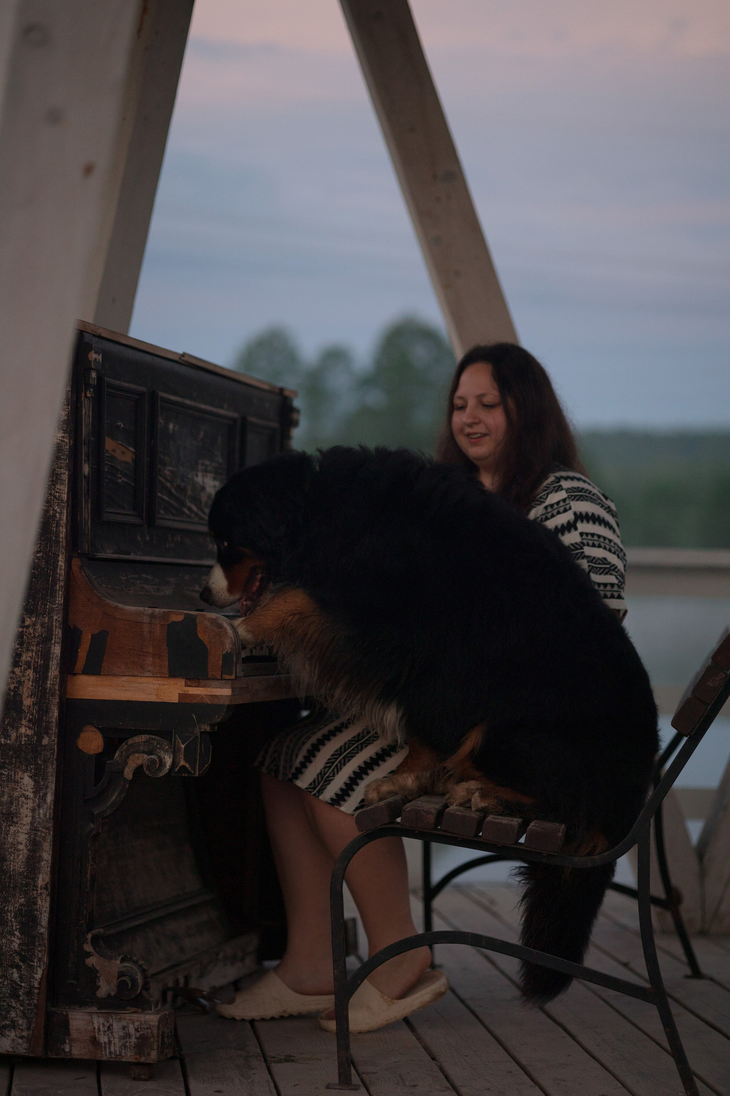 Съемка с собакой. Анастасия Белаш