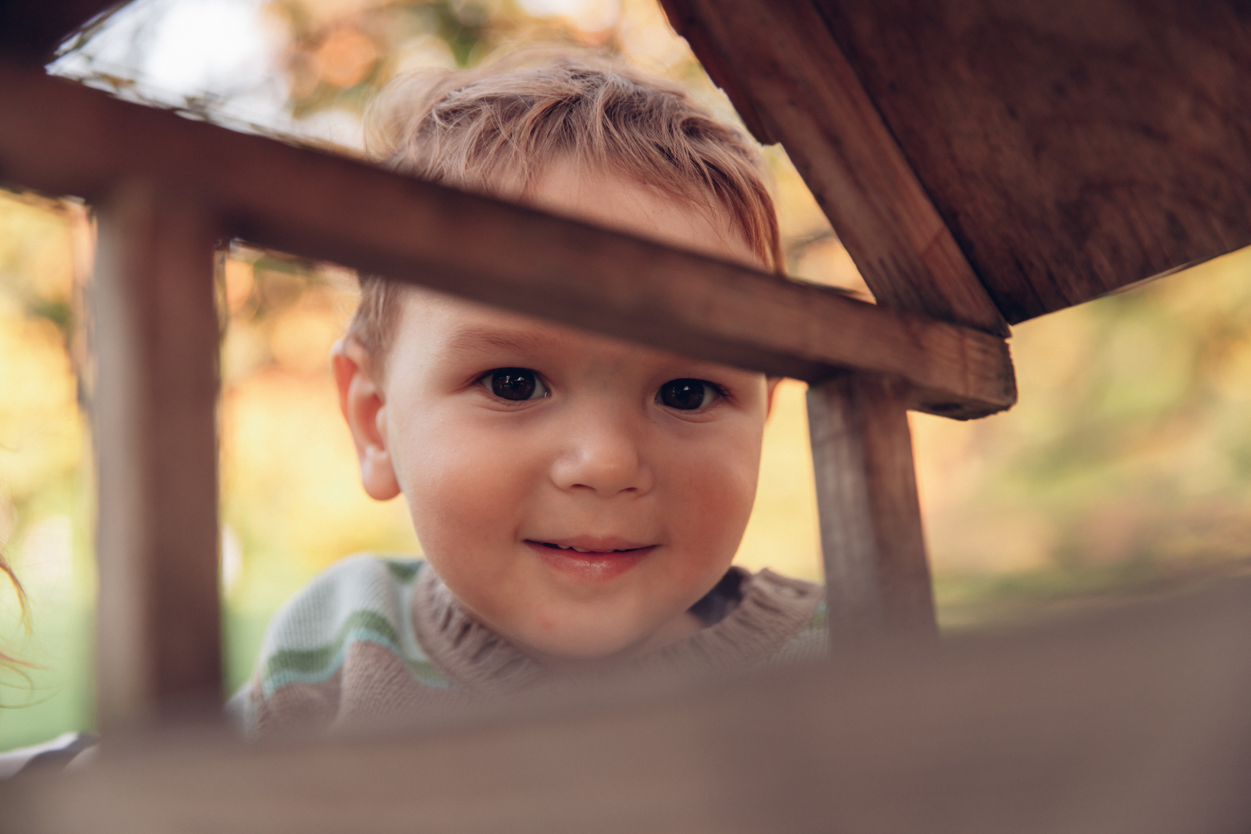 Настя, Серёжа и Тимоша. Елагин. Семейный фотограф в Санкт-Петербурге Алиса Мохова