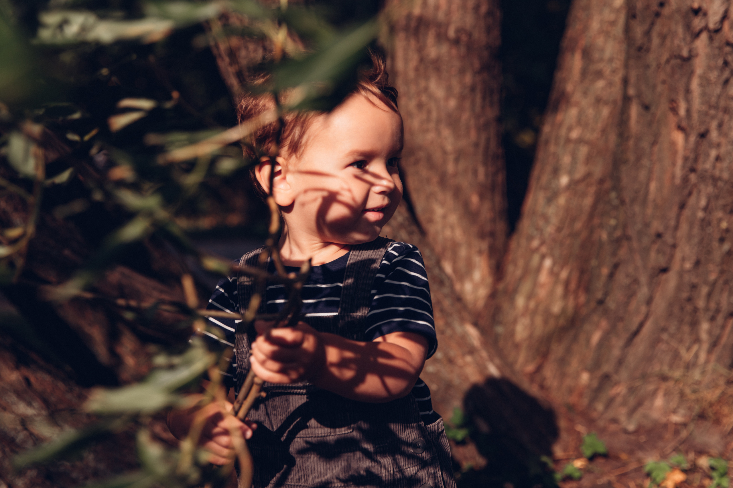 Настя, Серёжа и Тимоша. Елагин. Семейный фотограф в Санкт-Петербурге Алиса Мохова