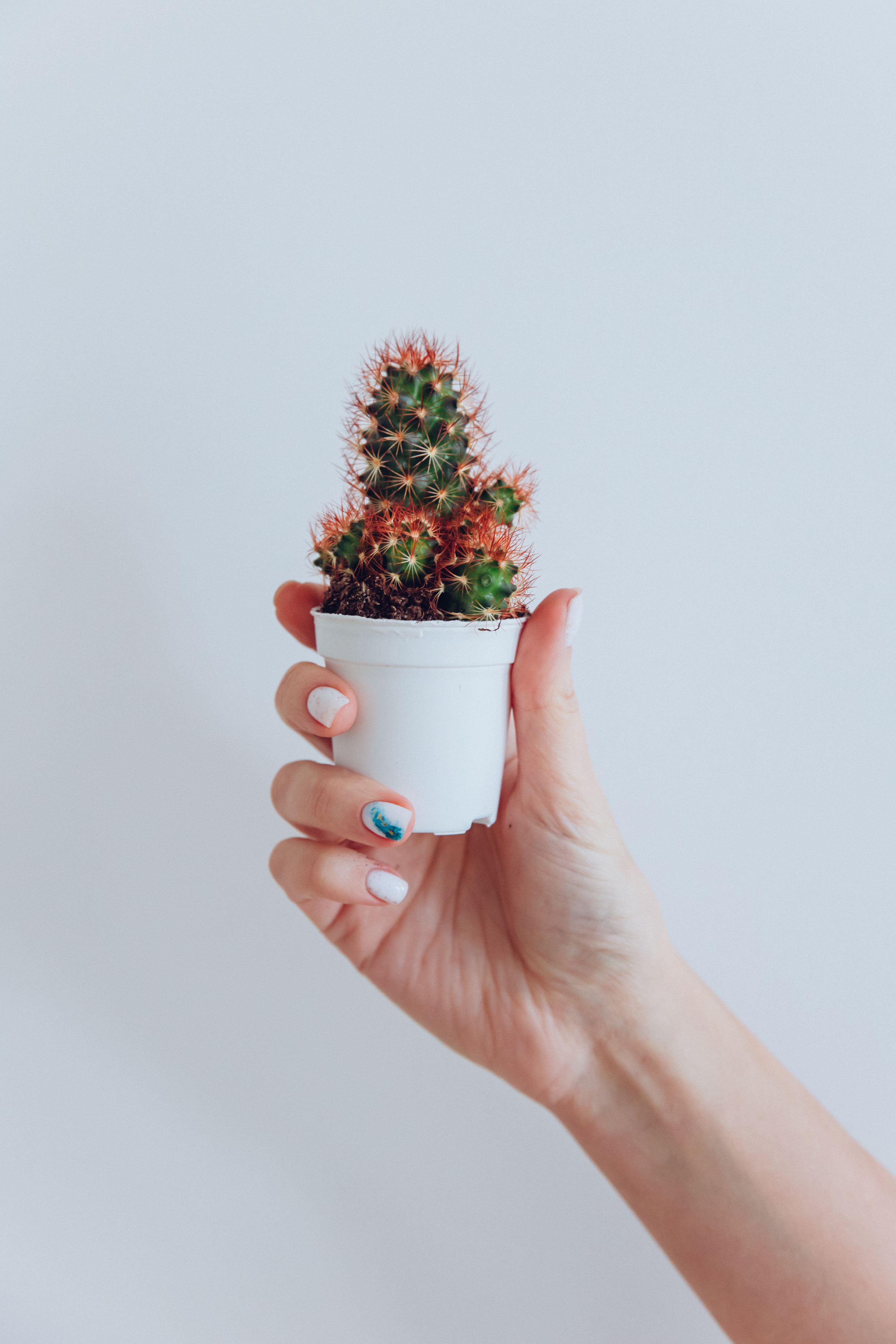 Ирина Матухова, таргетолог. Семейный фотограф в Санкт-Петербурге Алиса Мохова