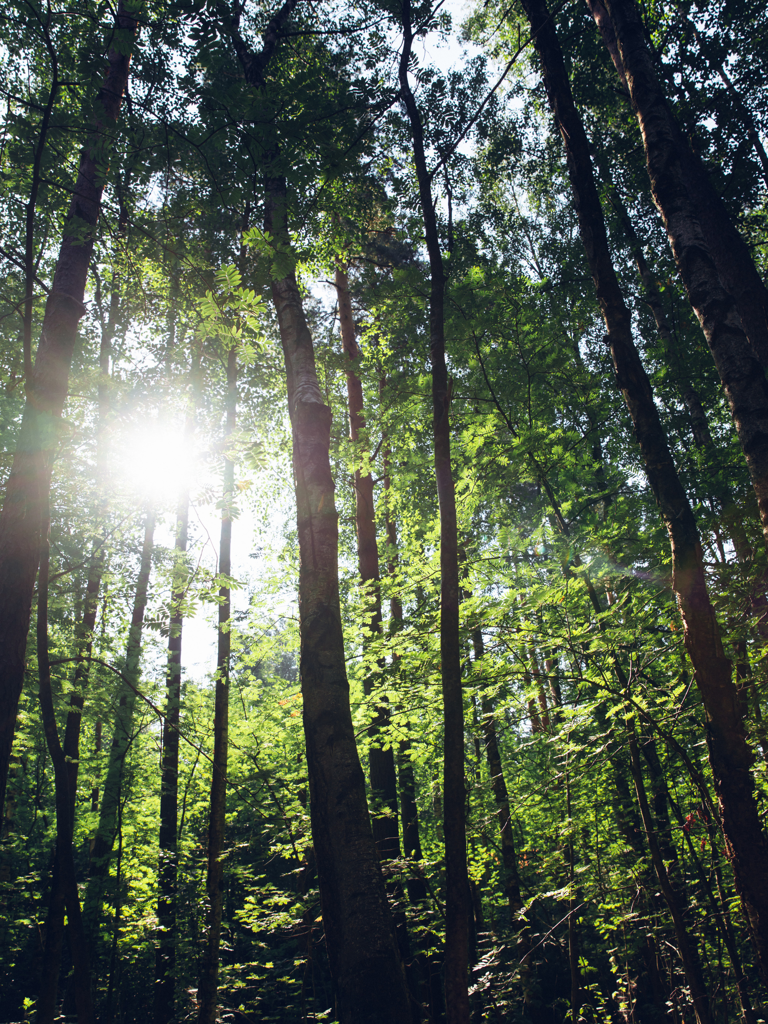 Оля, Вова и Алёна, Сестрорецк. Семейный фотограф в Санкт-Петербурге Алиса Мохова