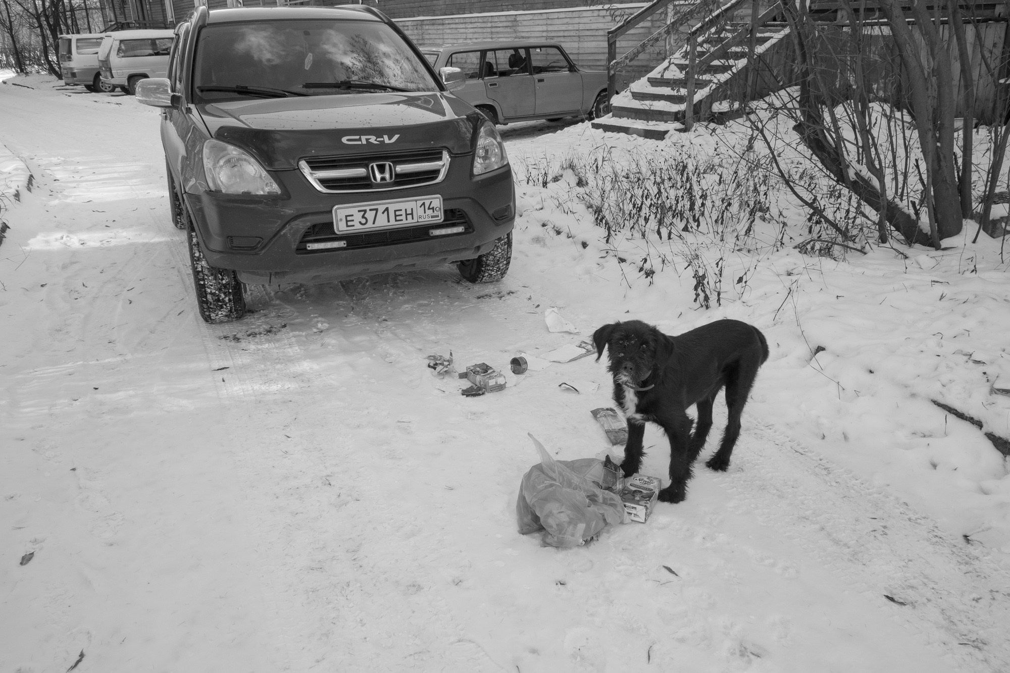 Якутия, Нерюнгри. Фотограф Алексей Скоробогатько