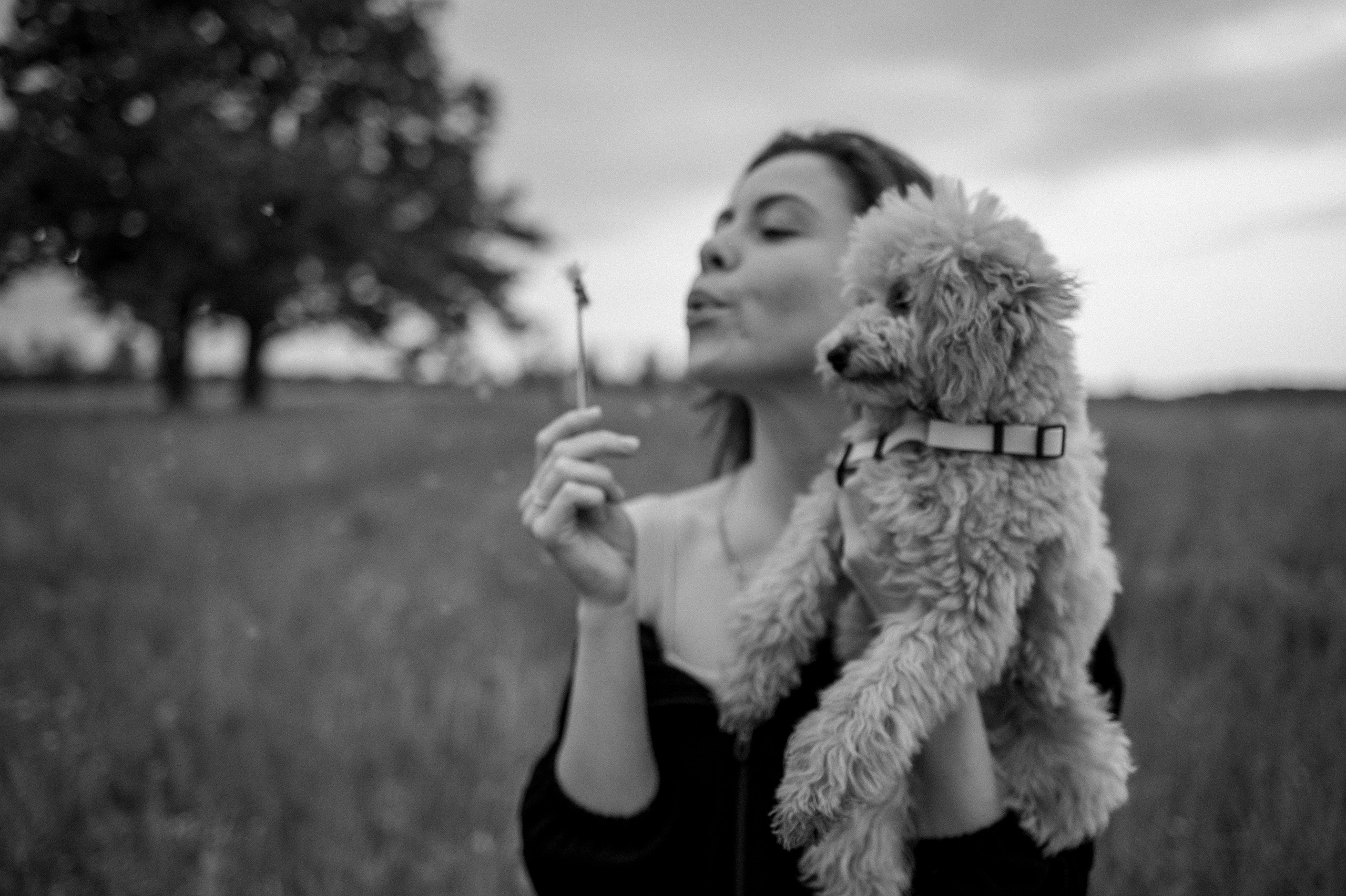 Мия и ее семья. Фотограф — Анималист | Санкт-Петербург