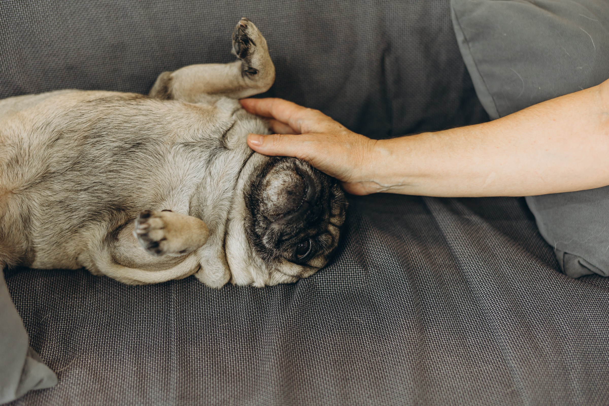 Домашняя фотосессия. Семейный фотограф в Волгодонске Краченцева Анна