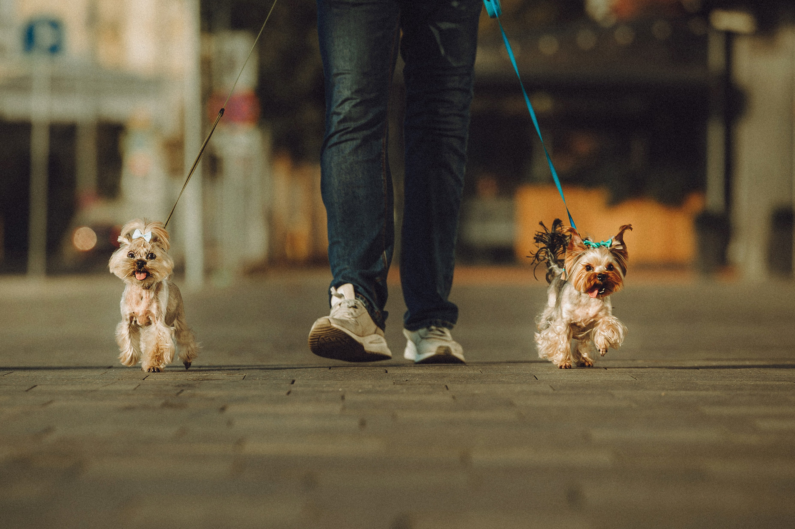 Дженни, Оливия и их семья