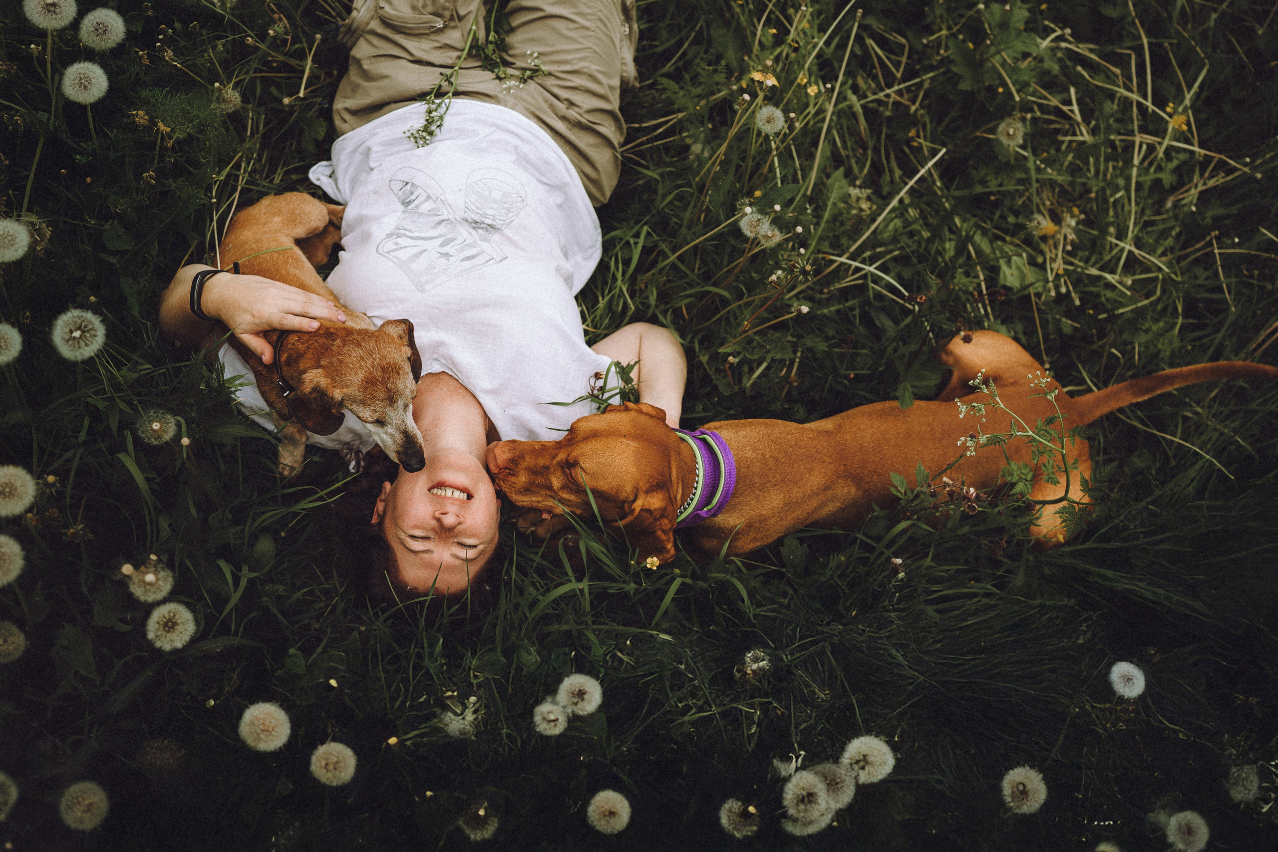 Груша, Данни, Фунтик и их семья