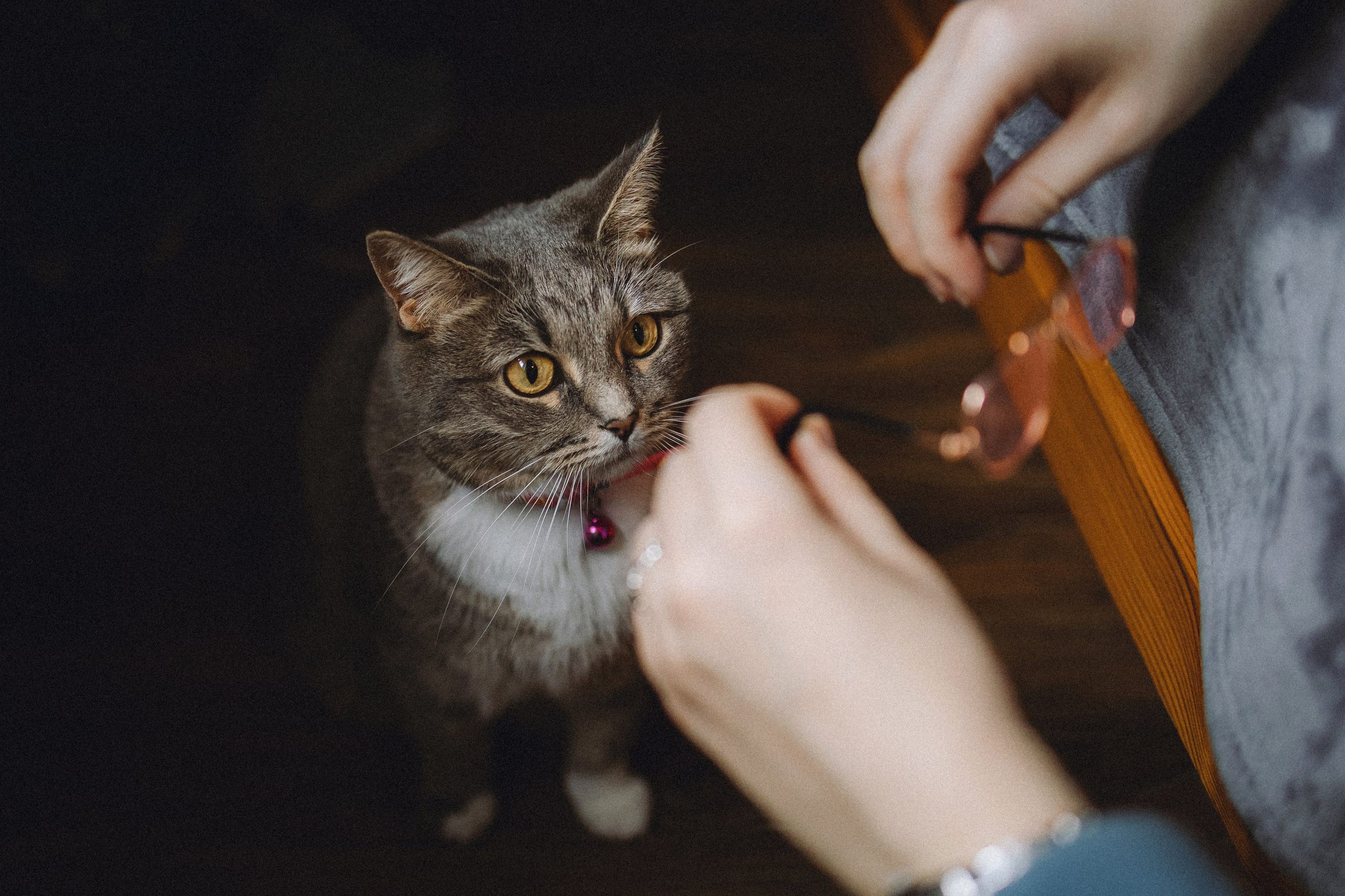 Леброн, Муся и их семья