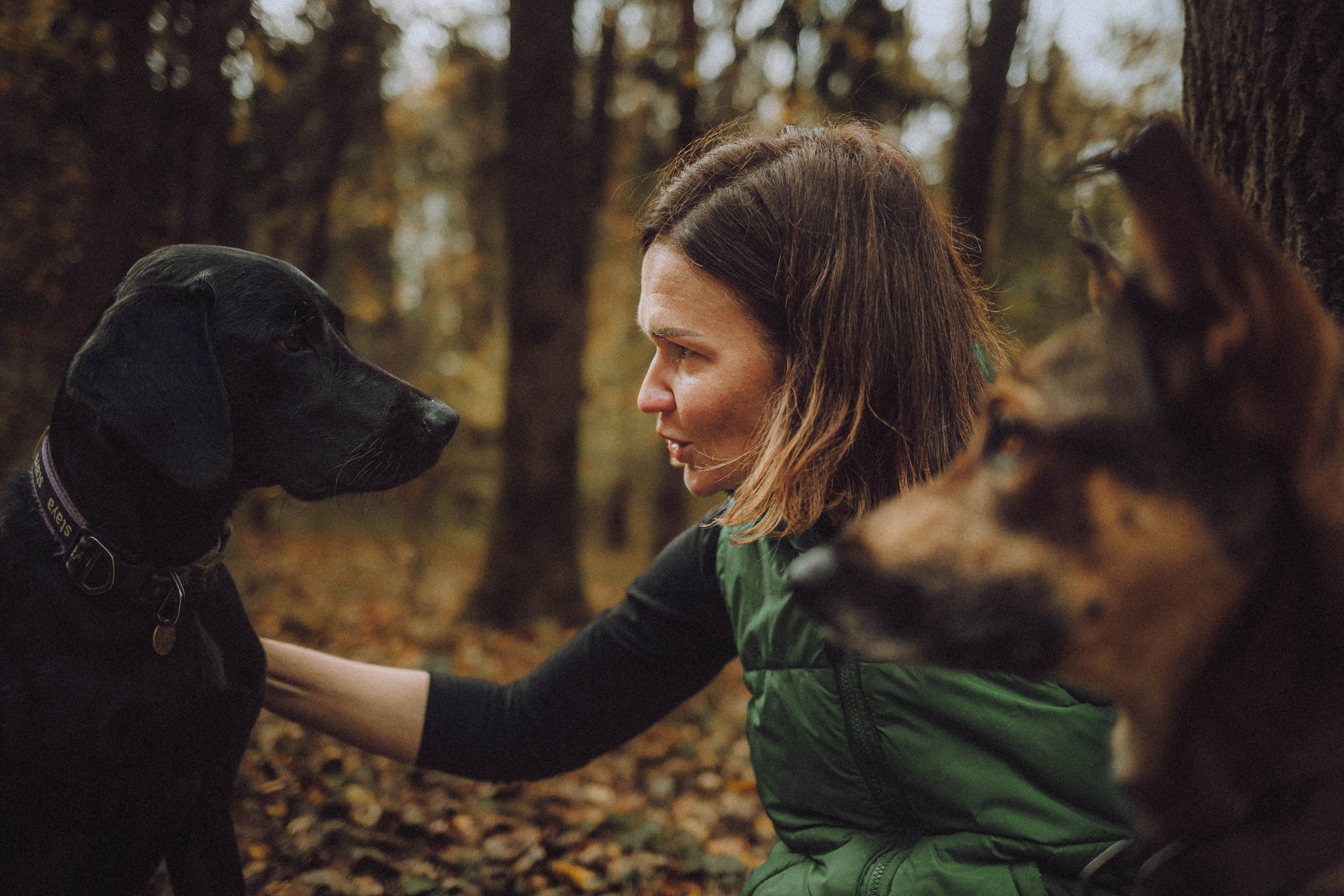 Аня, Нео и Луна