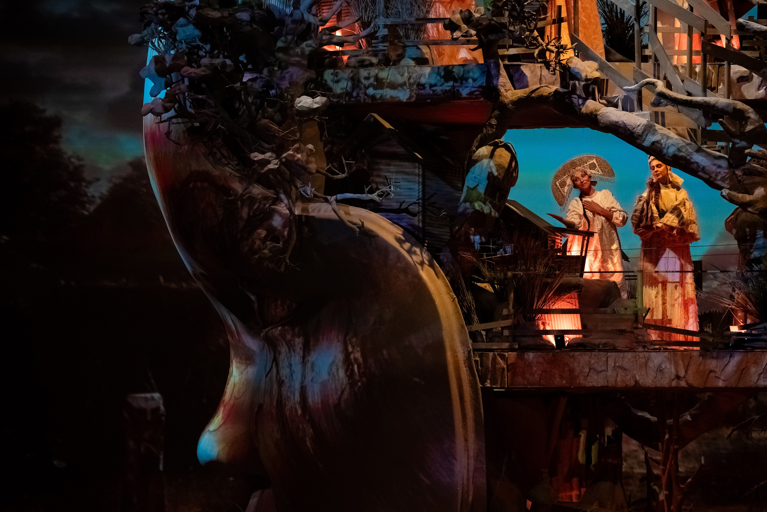 Мандрагора. Фотограф и видеограф Евгений Романов Санкт-Петербург