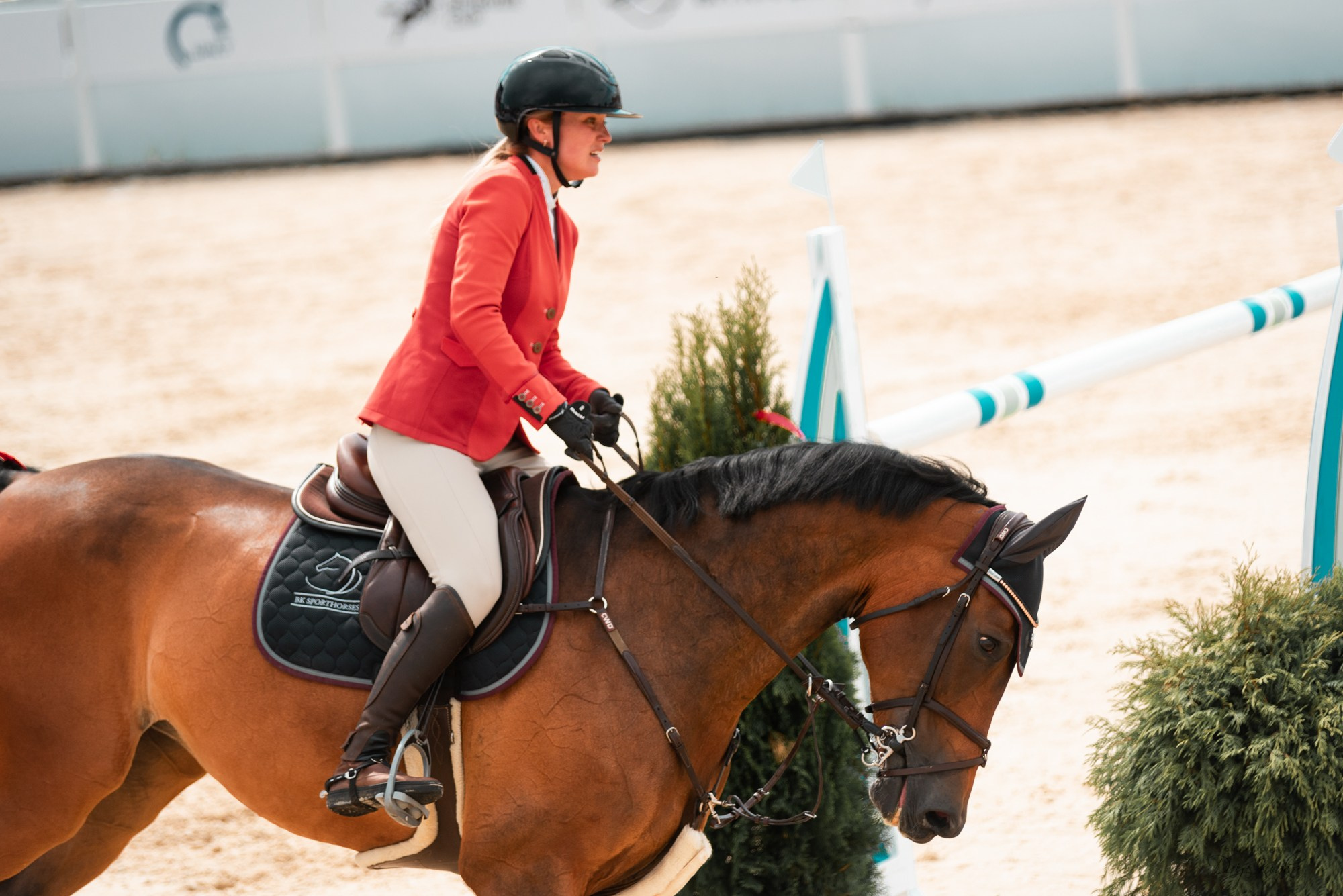 BITRIVER CUP 2023. Конный фотограф Куракина Дарья • Фотосессии с лошадьми