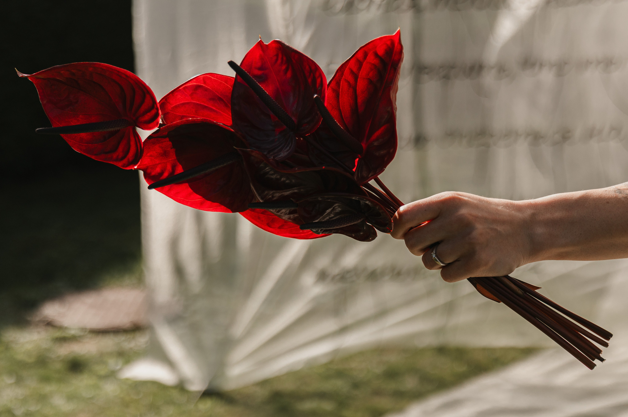 Кира и Дмитрий. Свадебный и портретный фотограф в Калининграде и Москве Марк Юдинцев