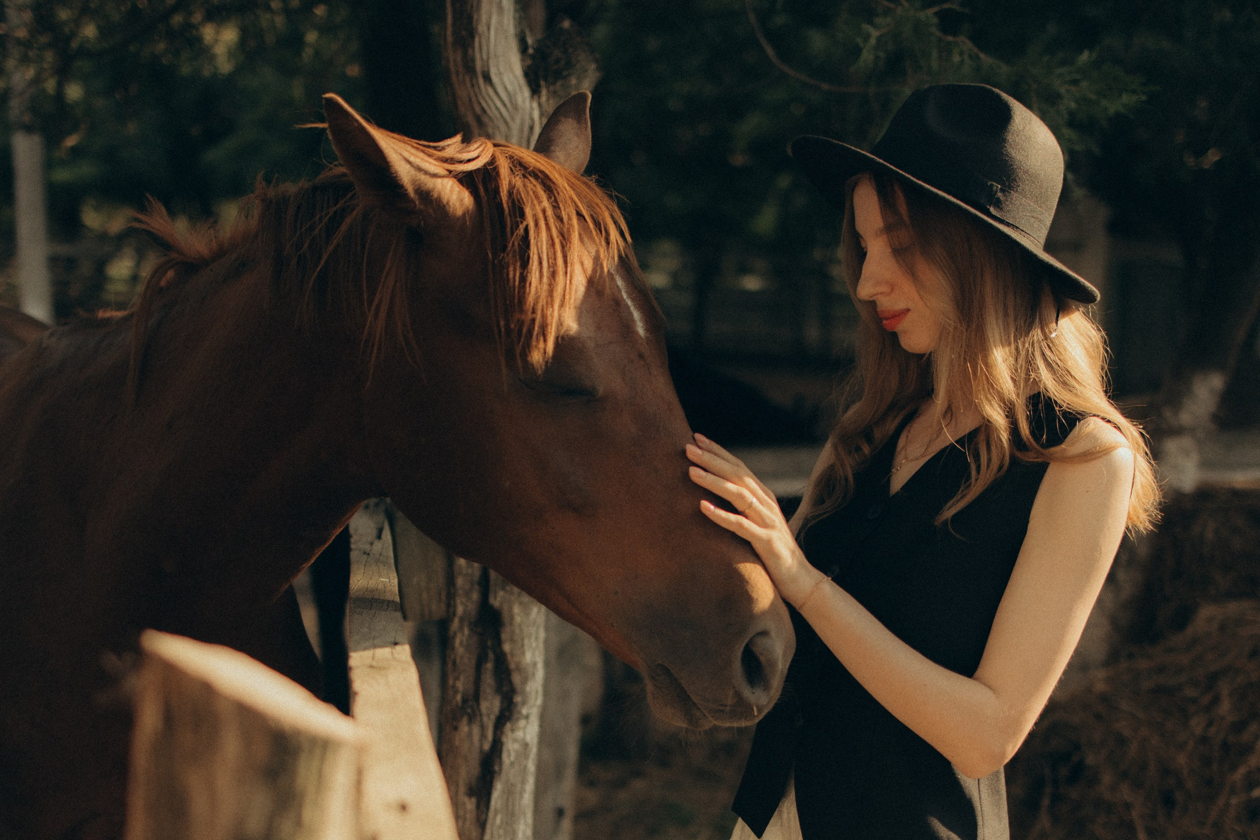 Игорь и Мария — конюшня. Семейный фотограф в Краснодаре Храмова Анна