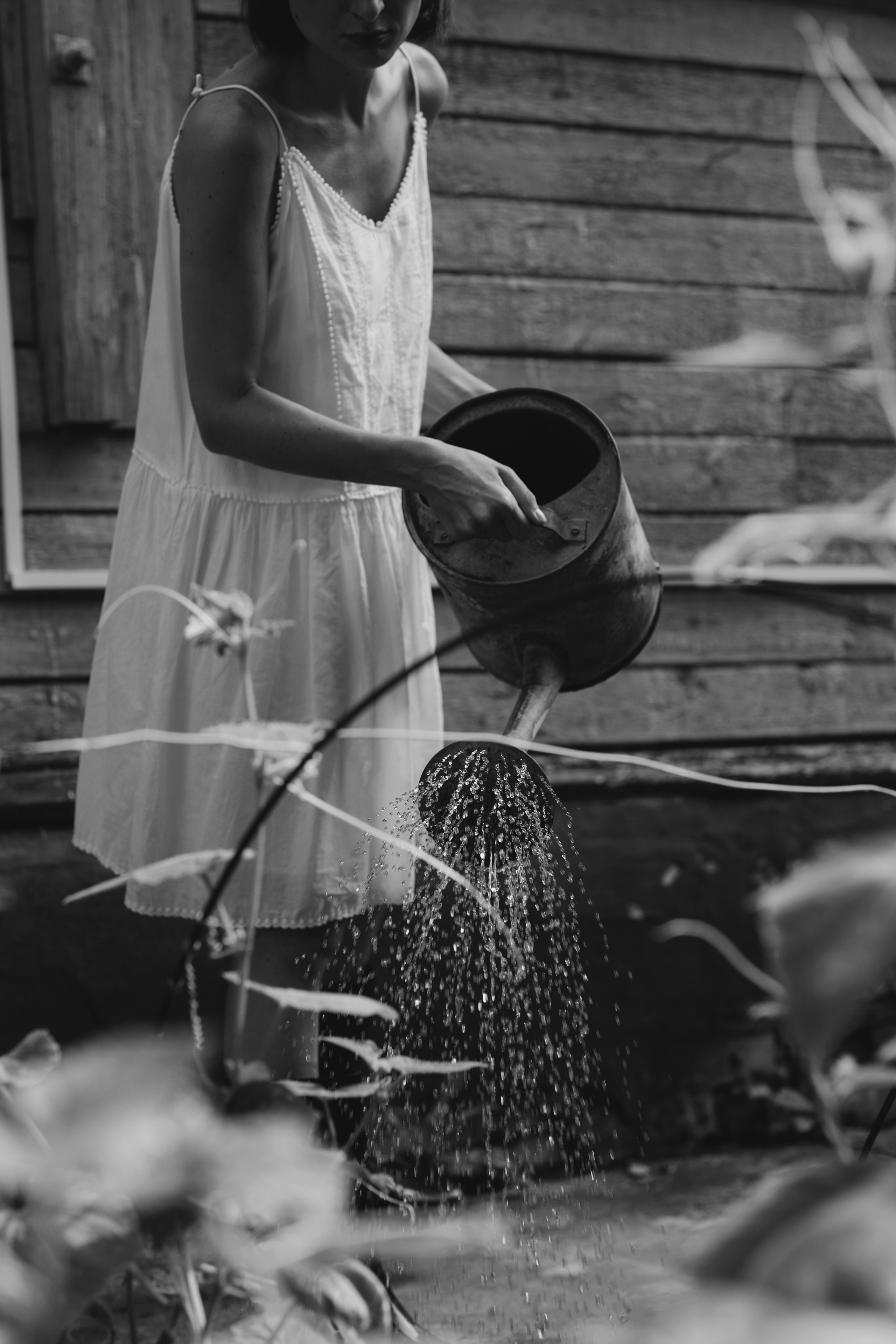 Отчаянная домохозяйка. Cheta Kovalevsky фотографы