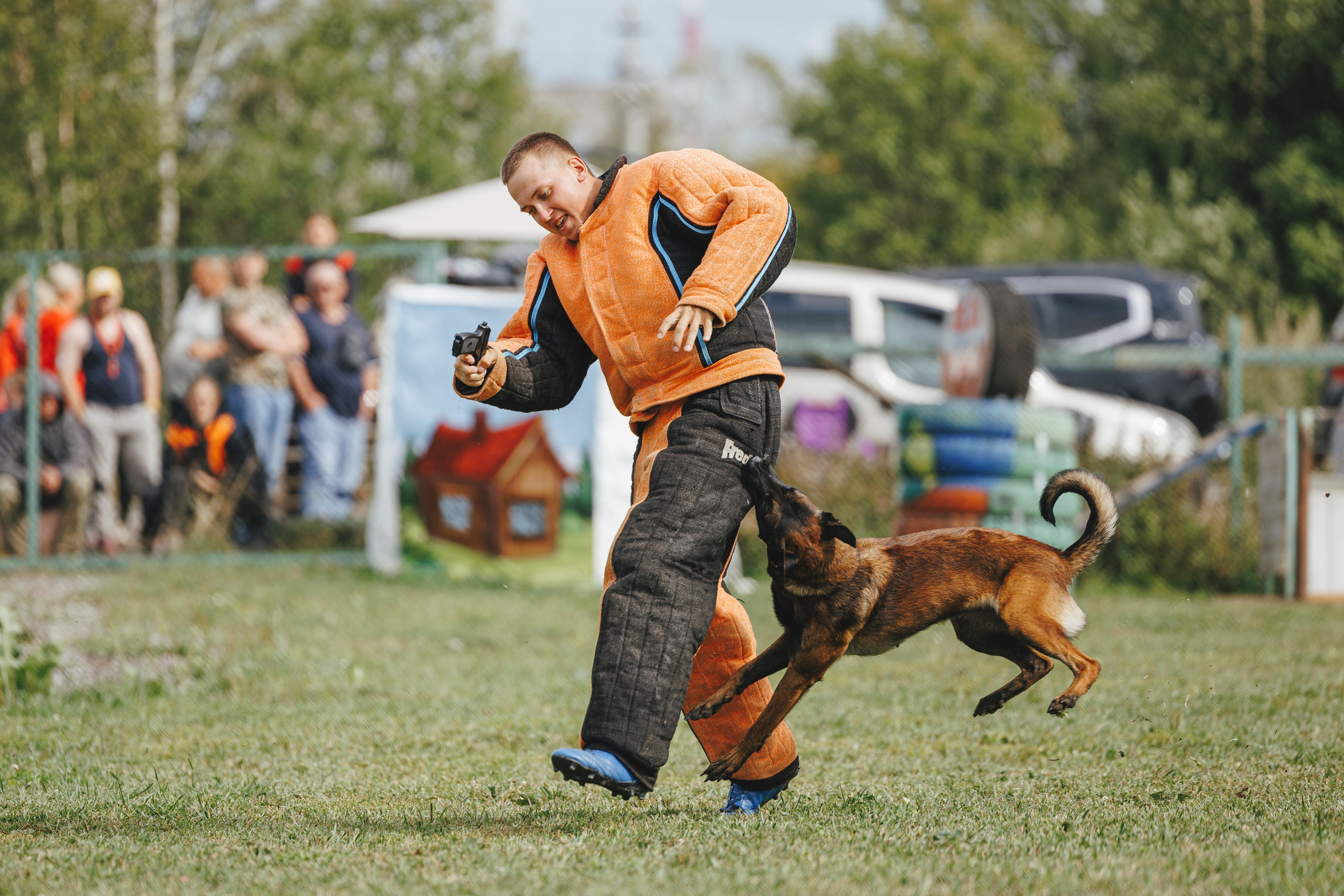08.08.25-10.08.25 ЧР по мондьорингу г. Вологда. Фотограф-анималист Анна Маринич
