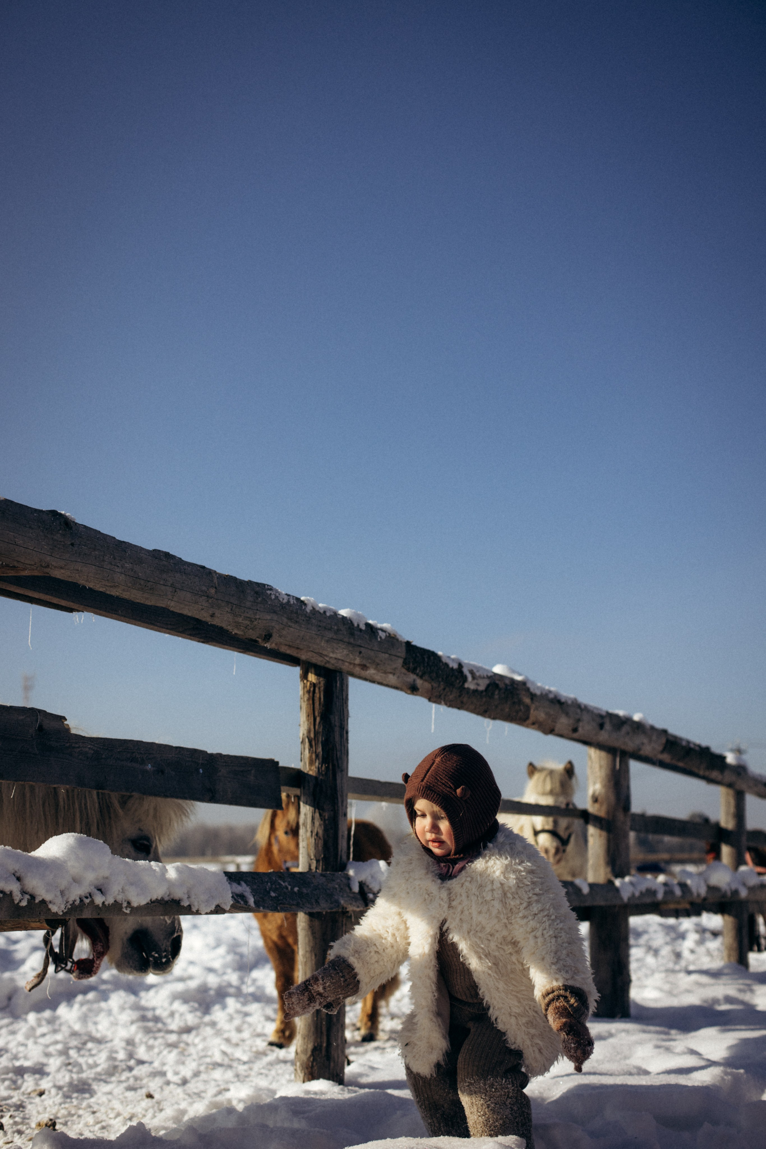 Настя с Сашей и Полей на ферме. Klerout Photographer