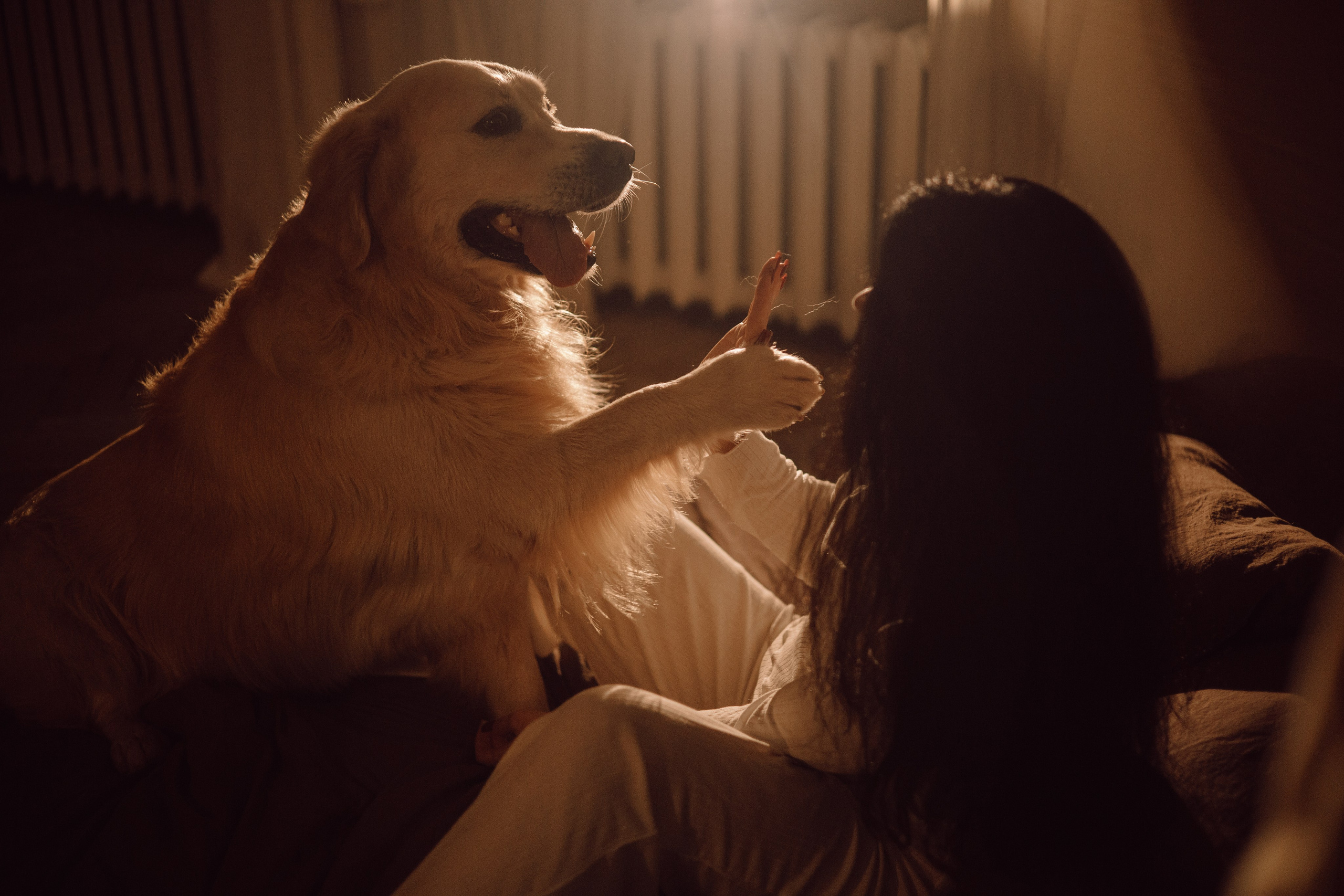 Лёва и его семья. Фотограф — анималист •love-story•|Санкт-Петербург