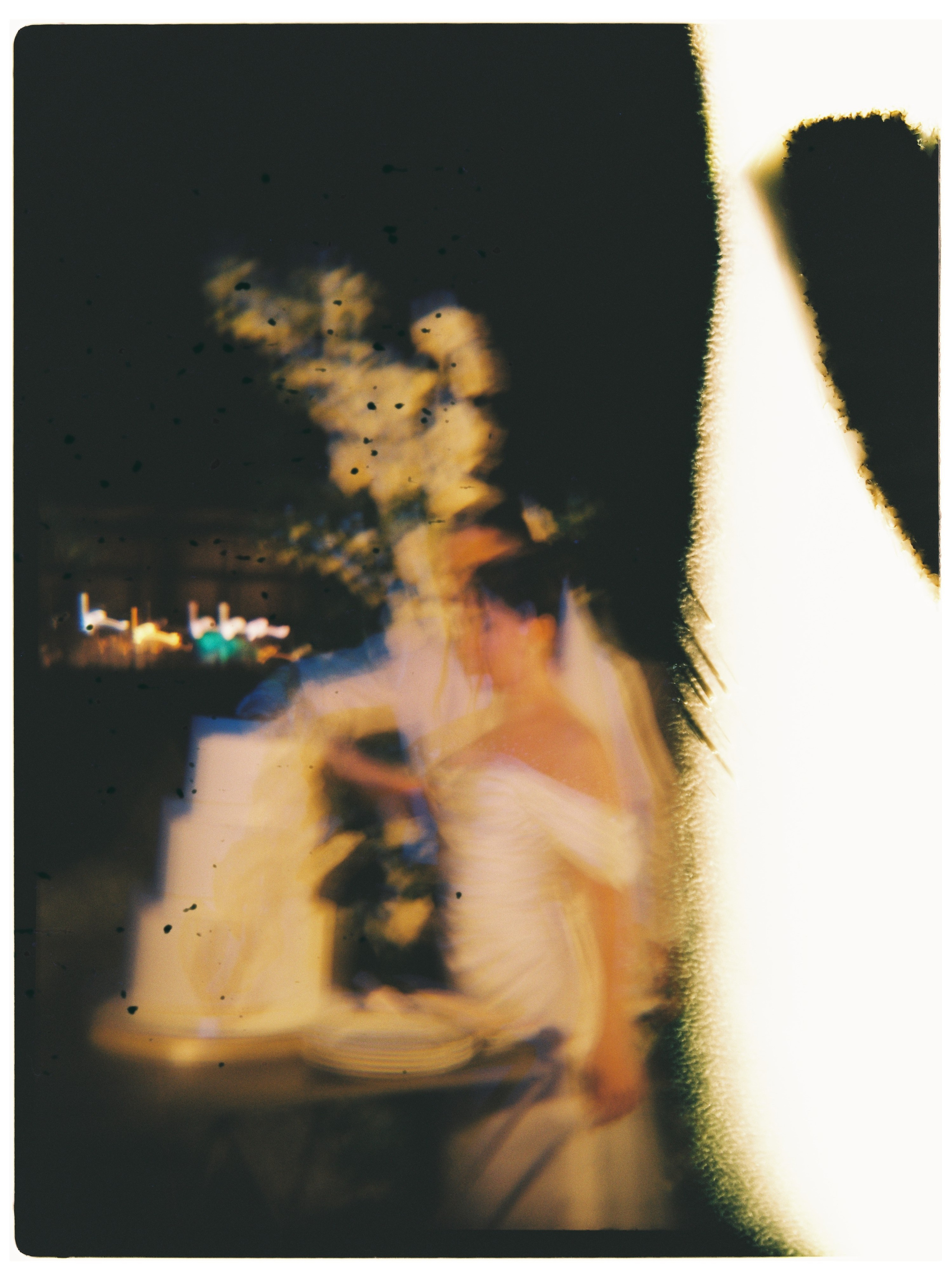 Шахноза и Мурад. Селиванова Виктория свадебный фотограф