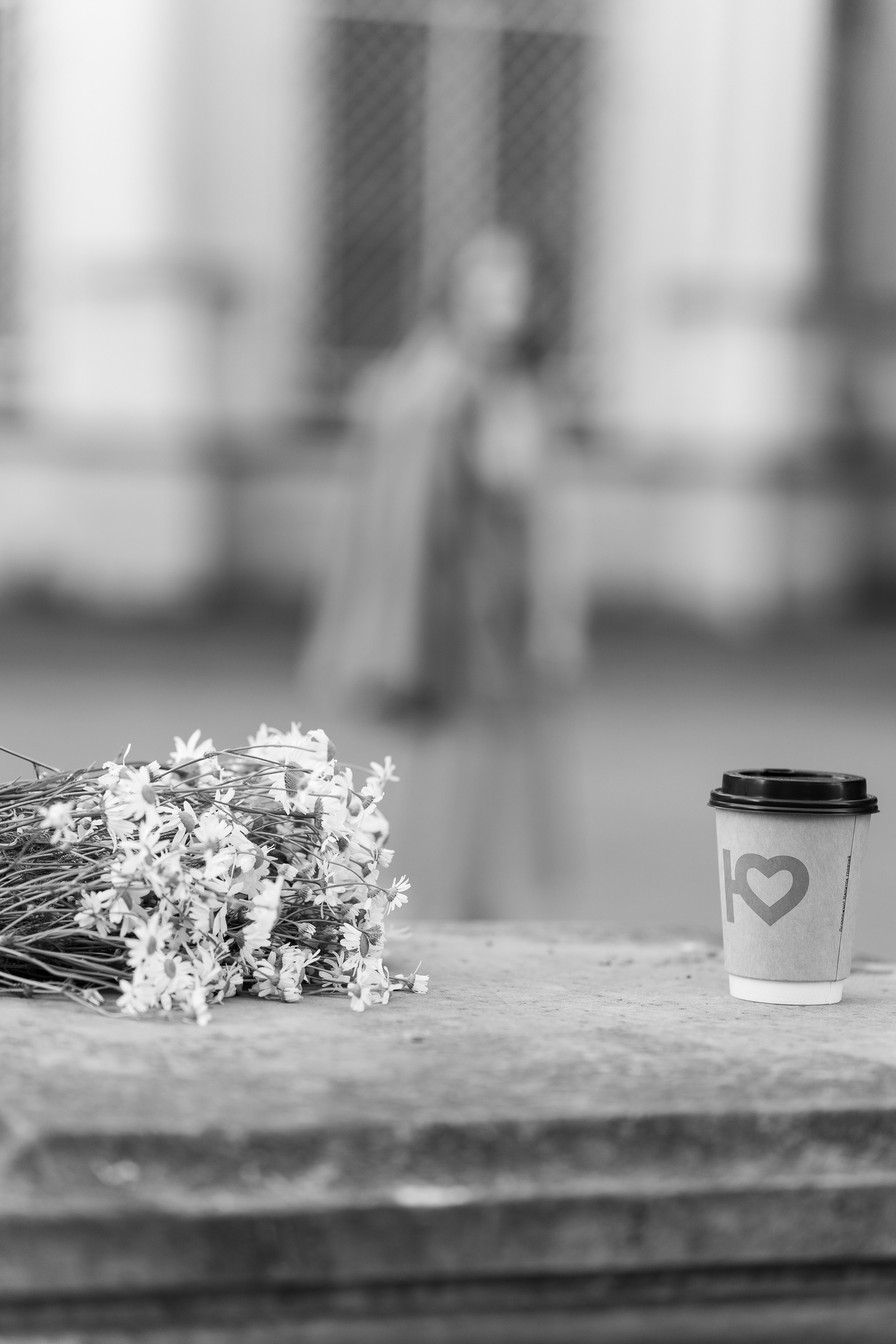 #Белые ночи. Рассвет в Лопухинском саду. Главная