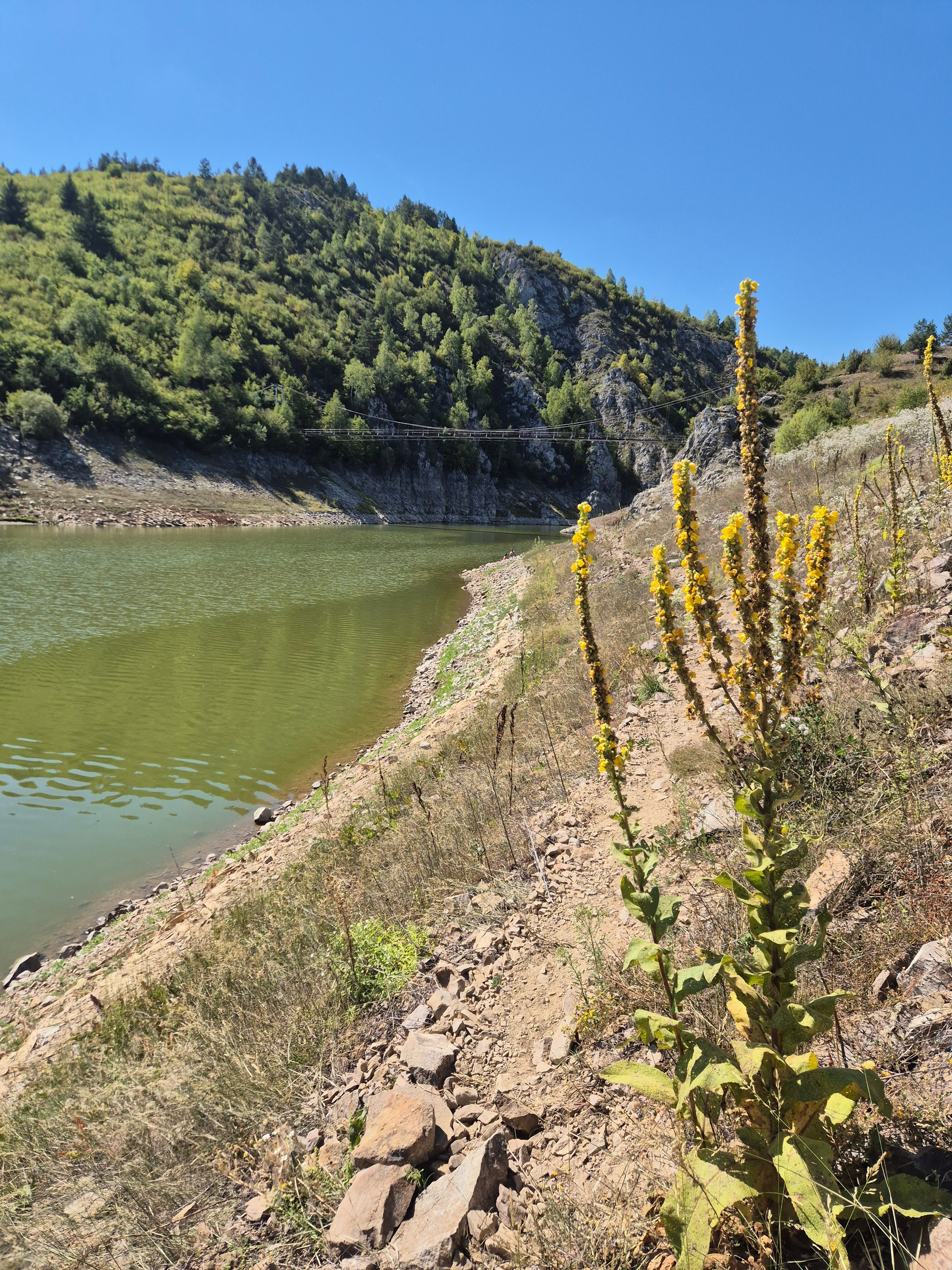 По реке до пещеры с заходом внутрь катают на корабликах. Сервиса - 0, английского - 0. В итоге мы подождали-подождали, погуляли вдоль реки до моста, и уехали купаться в СПА в Златиборе