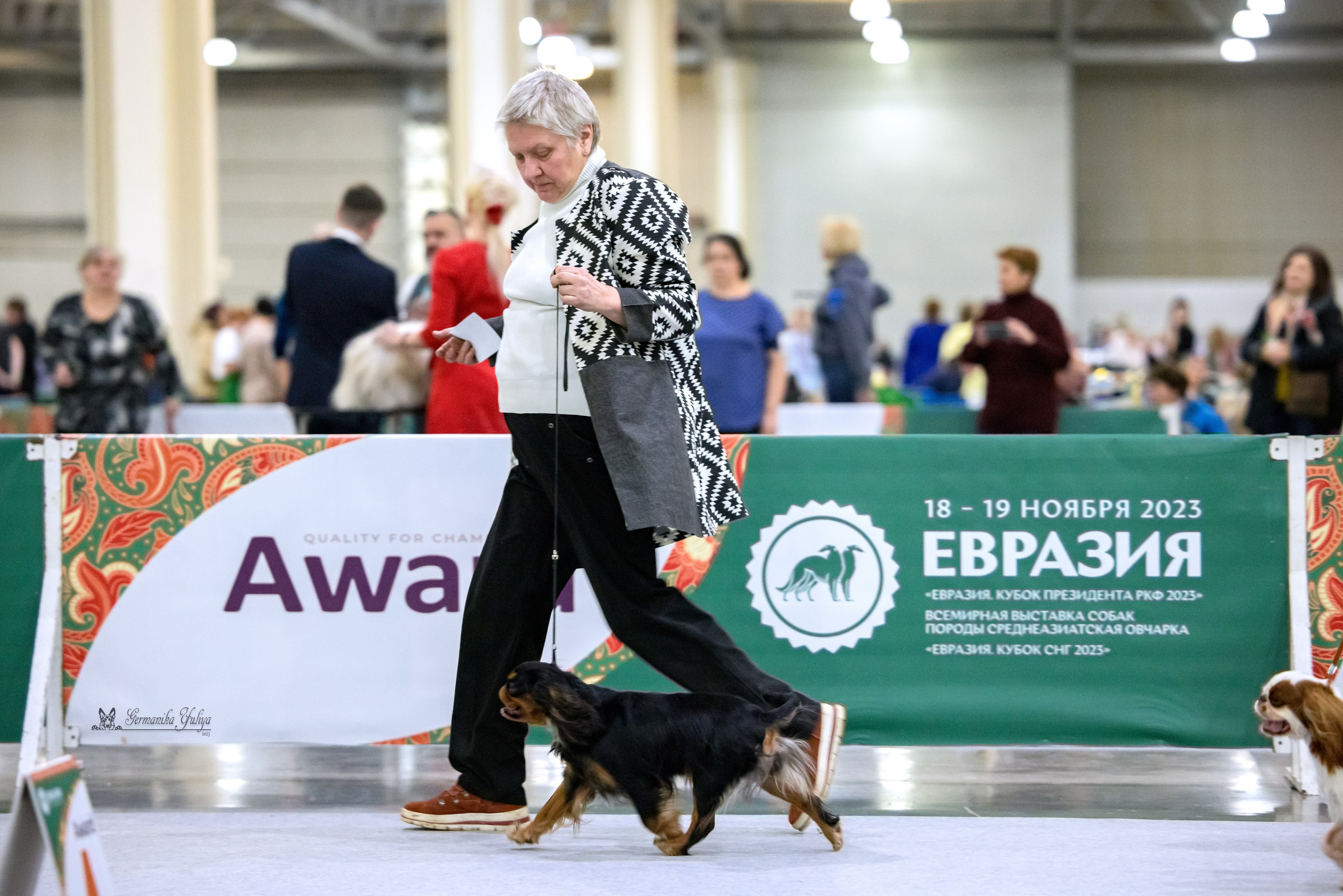 ЕВРАЗИЯ 18-19.11.2023. Фотограф-анималист Юлия Германика