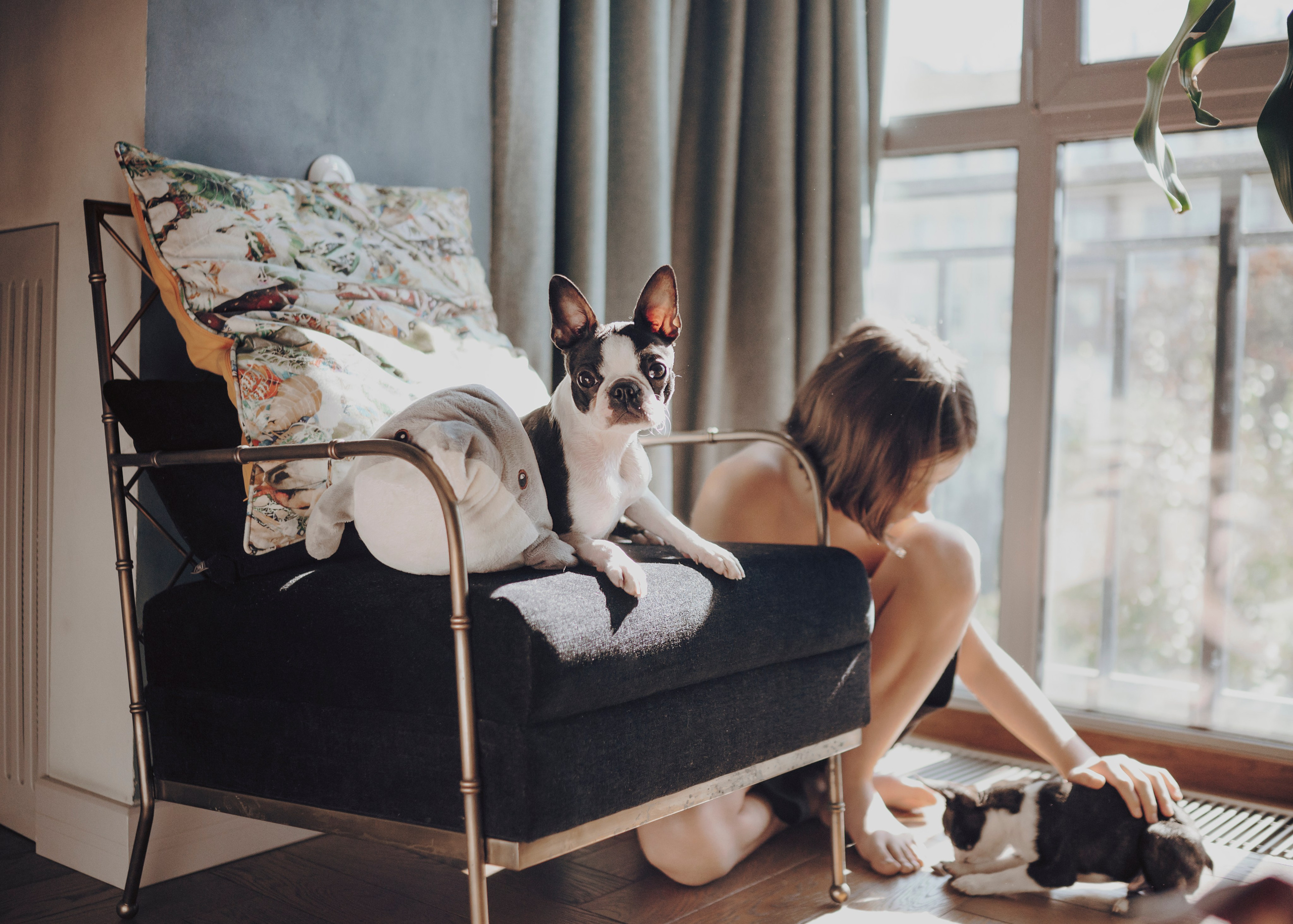 Фотограф- анималист Александра Матвеева