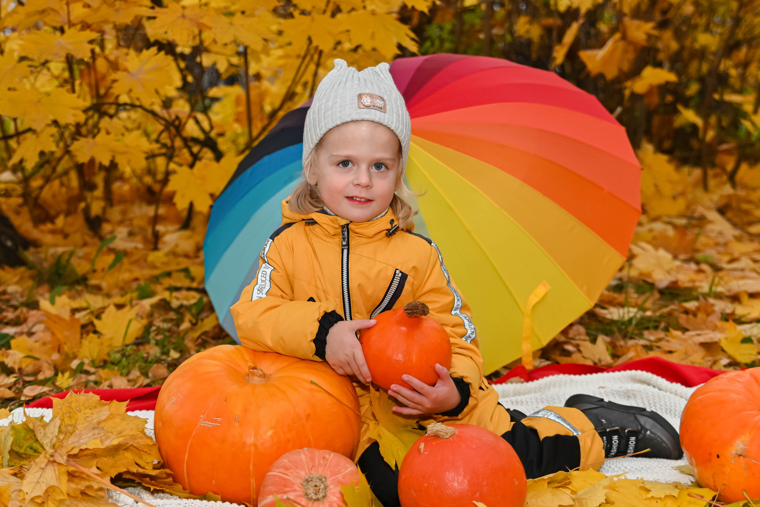 Золотая осень. Выпускные альбомы для детских садов Санкт-Петербург