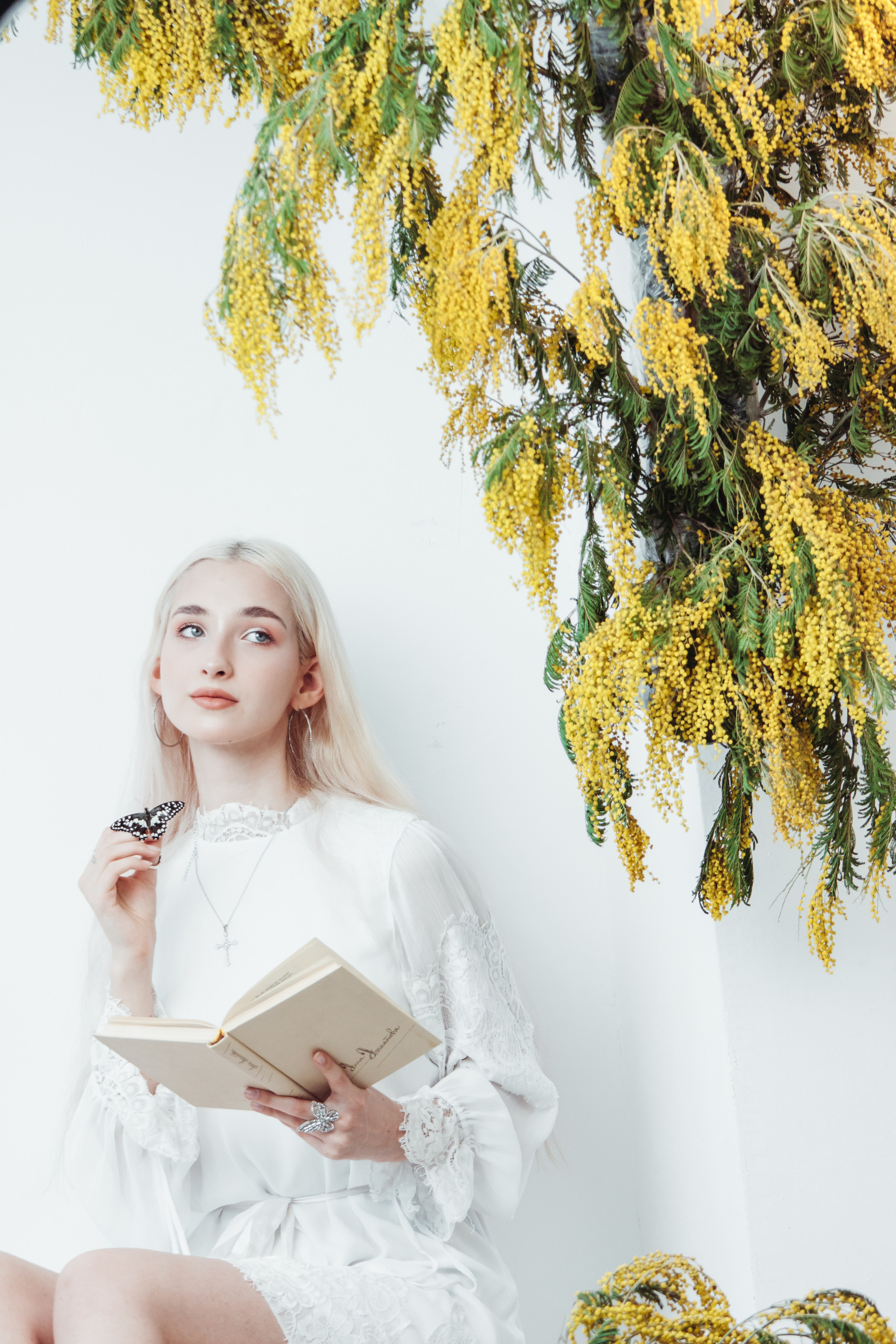 Mimosas. Дария Галямова — фотограф: открытый, творческий, коммерческий