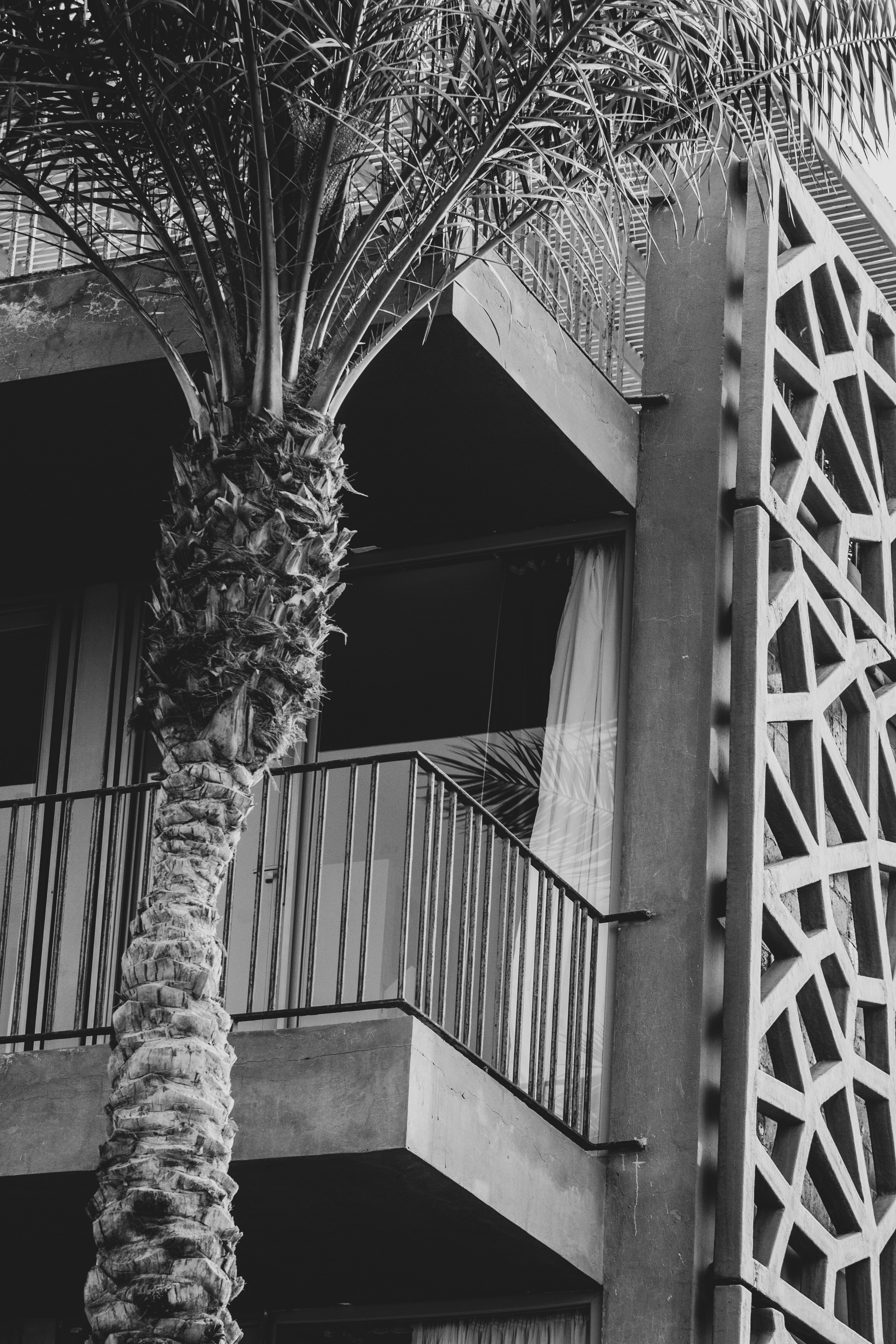 DAHABibi. Дария Галямова — фотограф: открытый, творческий, коммерческий