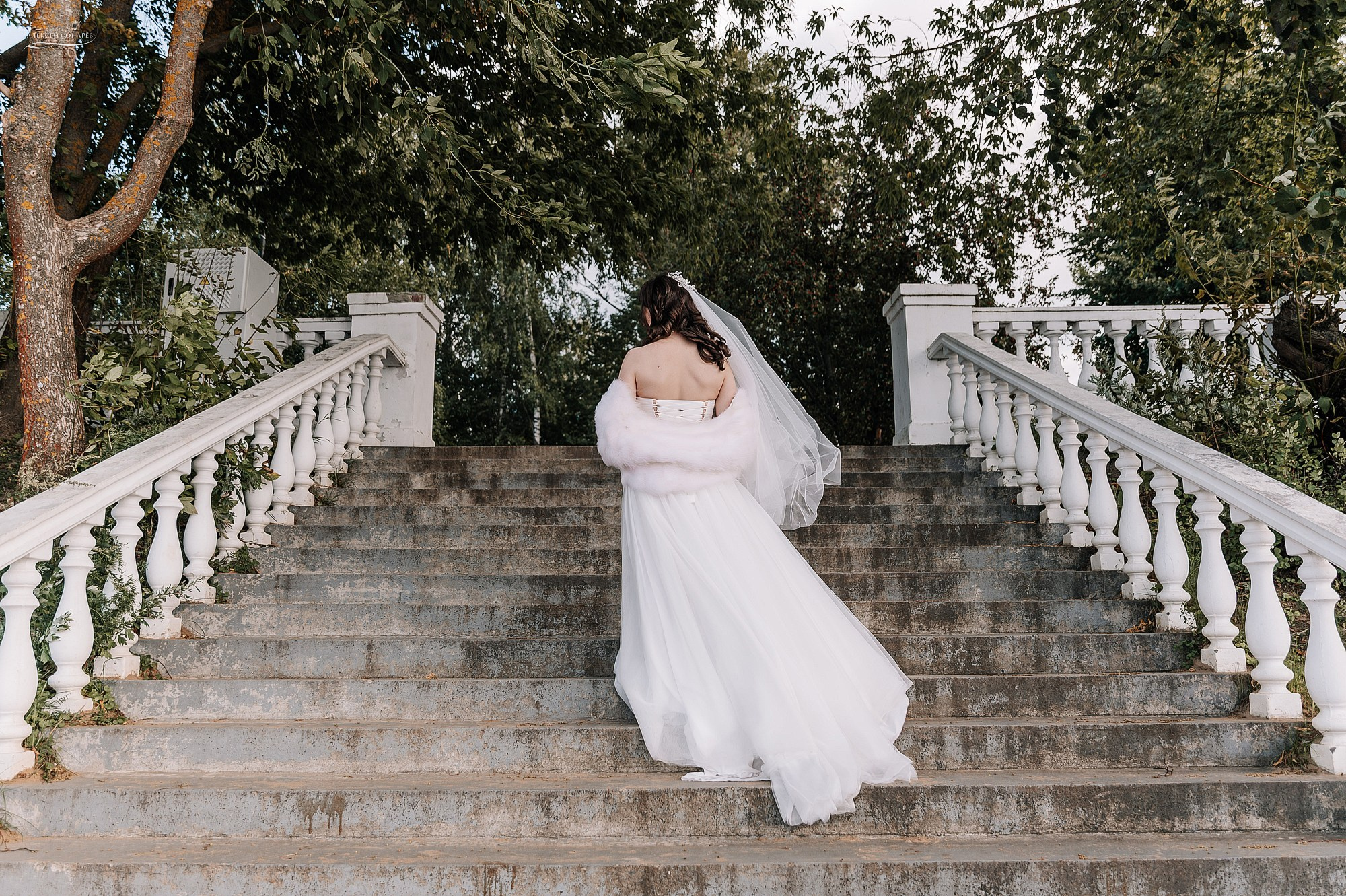 Свадебная прогулка Евгения и Анны в Дубне. Свадебный фотограф в Дубне Алексей Фонарёв