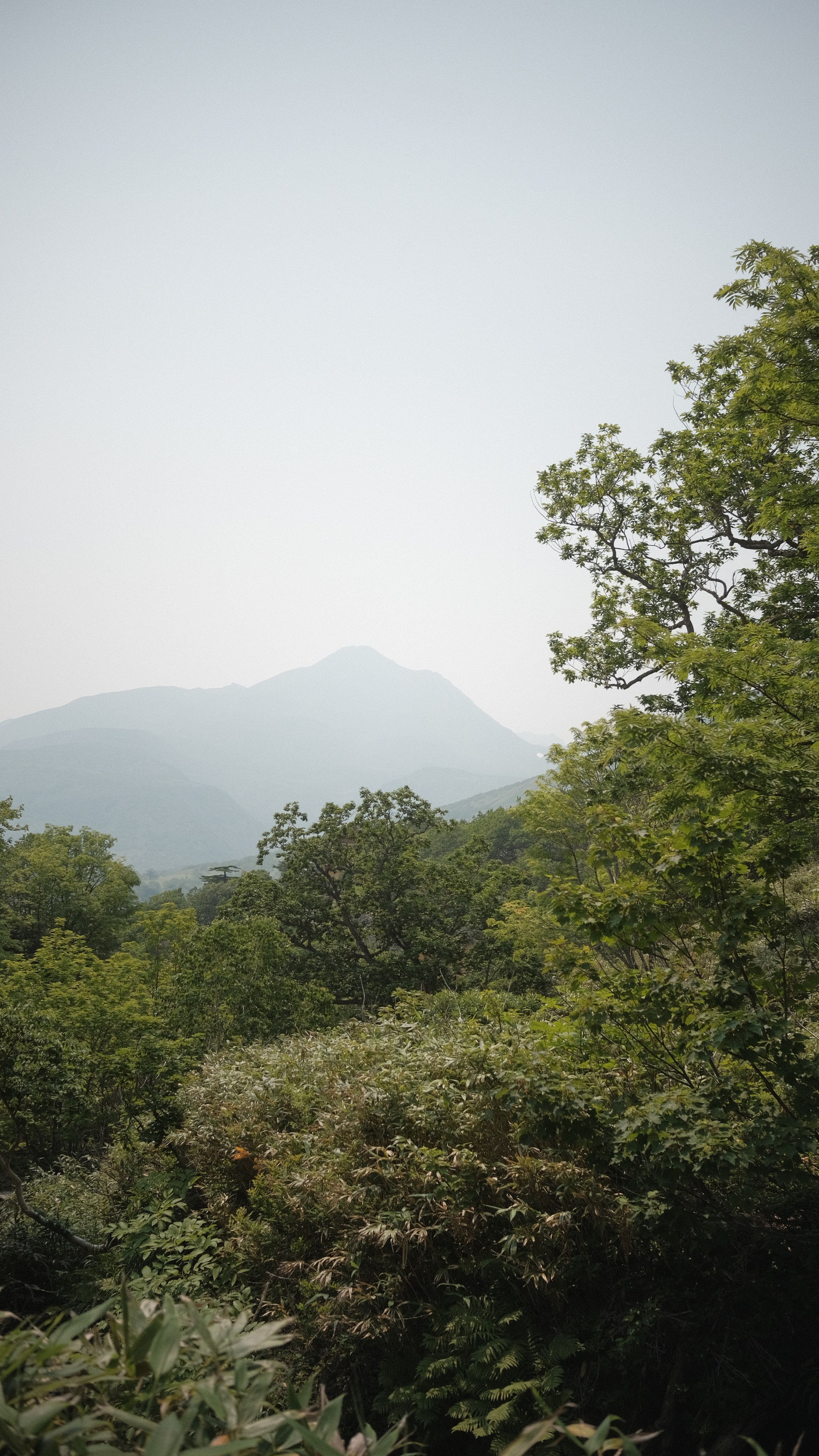 Курилы фото. Портретный фотограф Санкт-Петербург