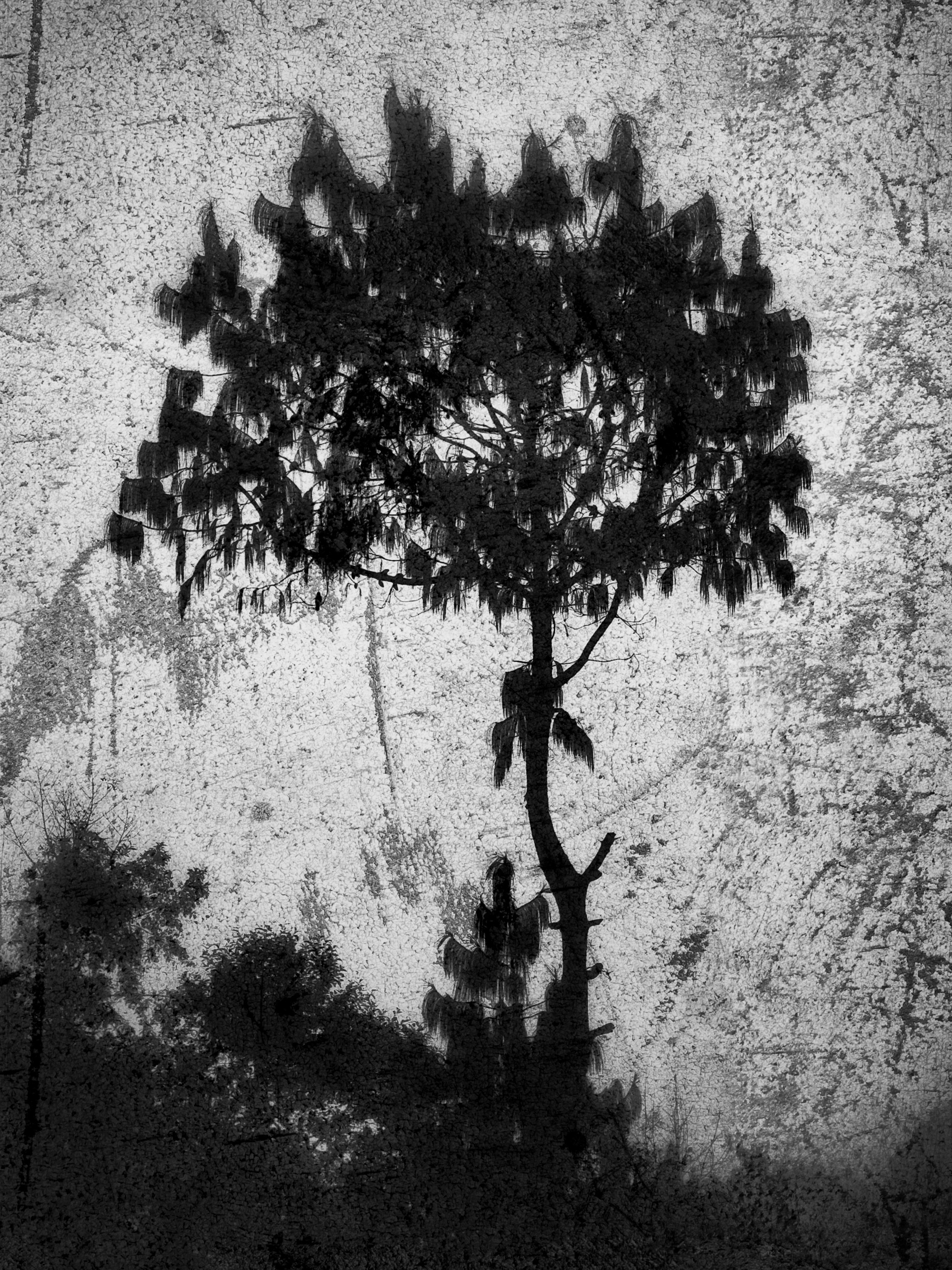 Непал. Фотограф в Москве, в Самаре Инна Мамонова