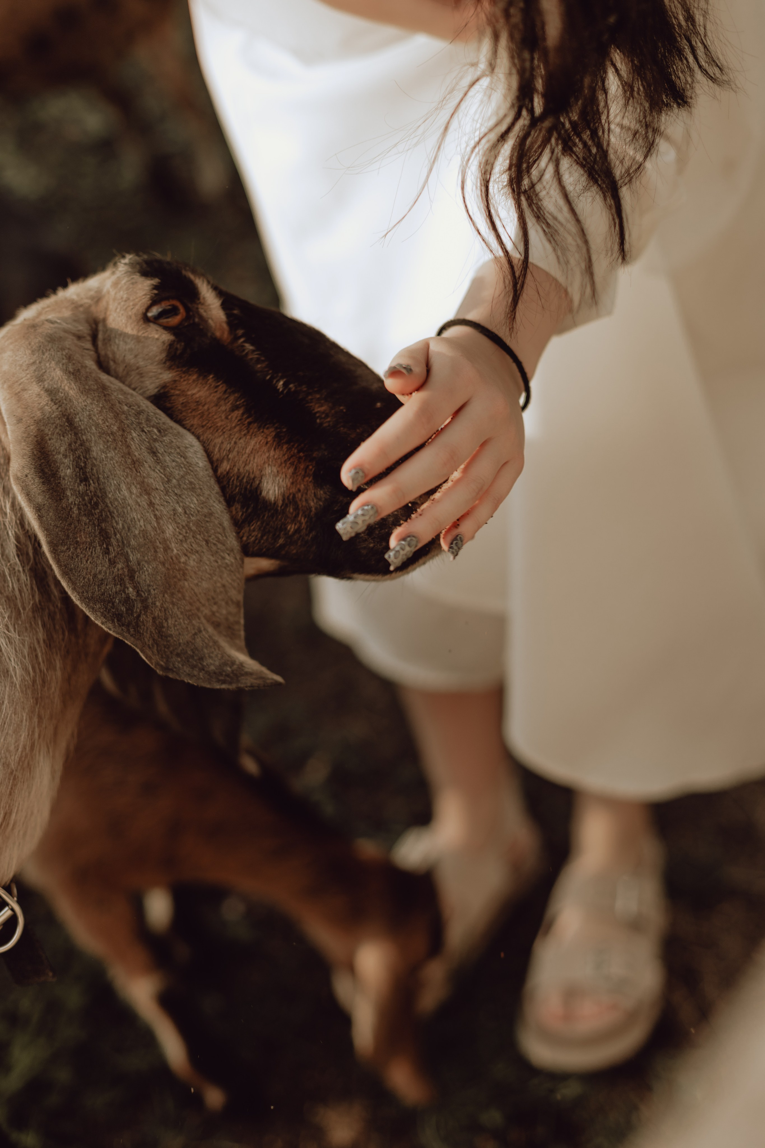 Наташа. Главная