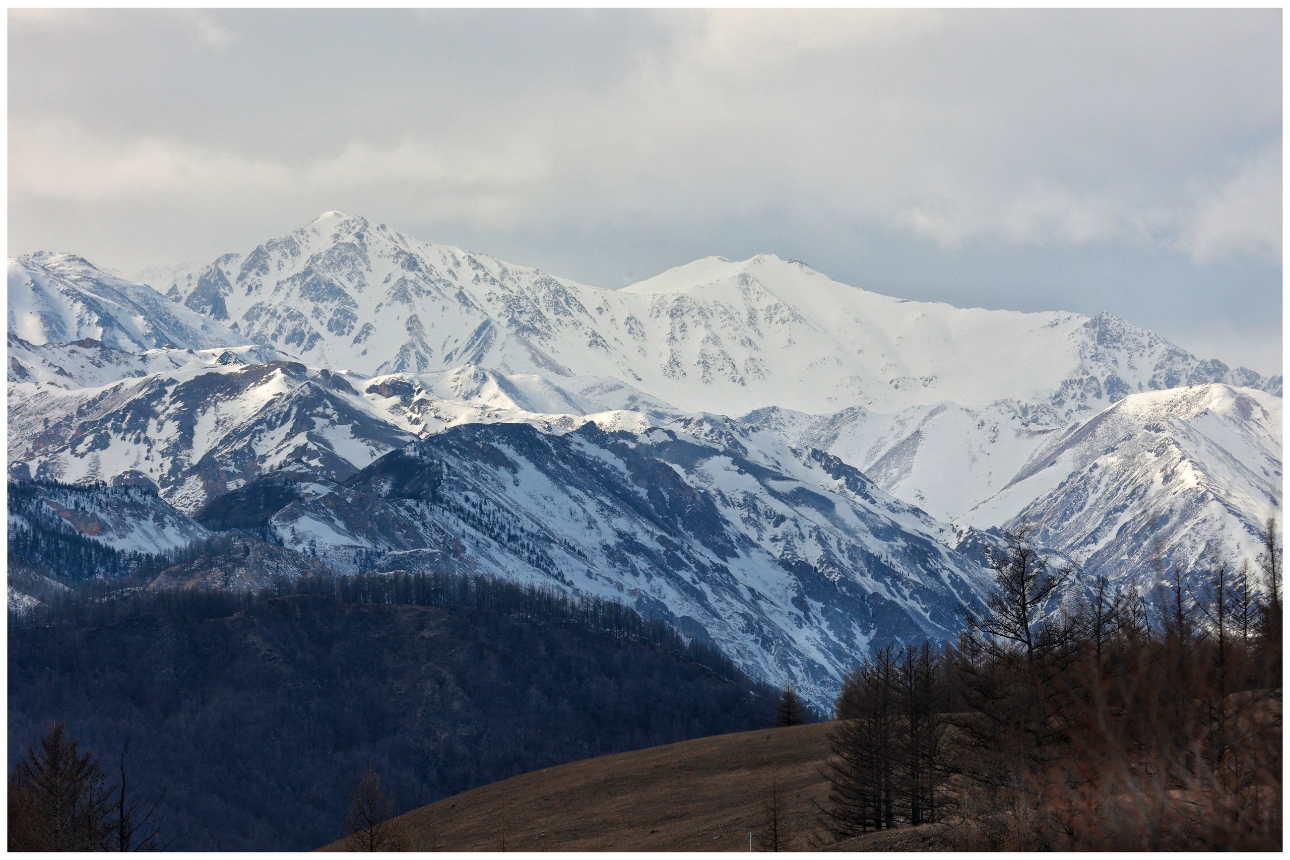 2024. Тащилин Сергей. Фотографии. Жизнь. Хобби