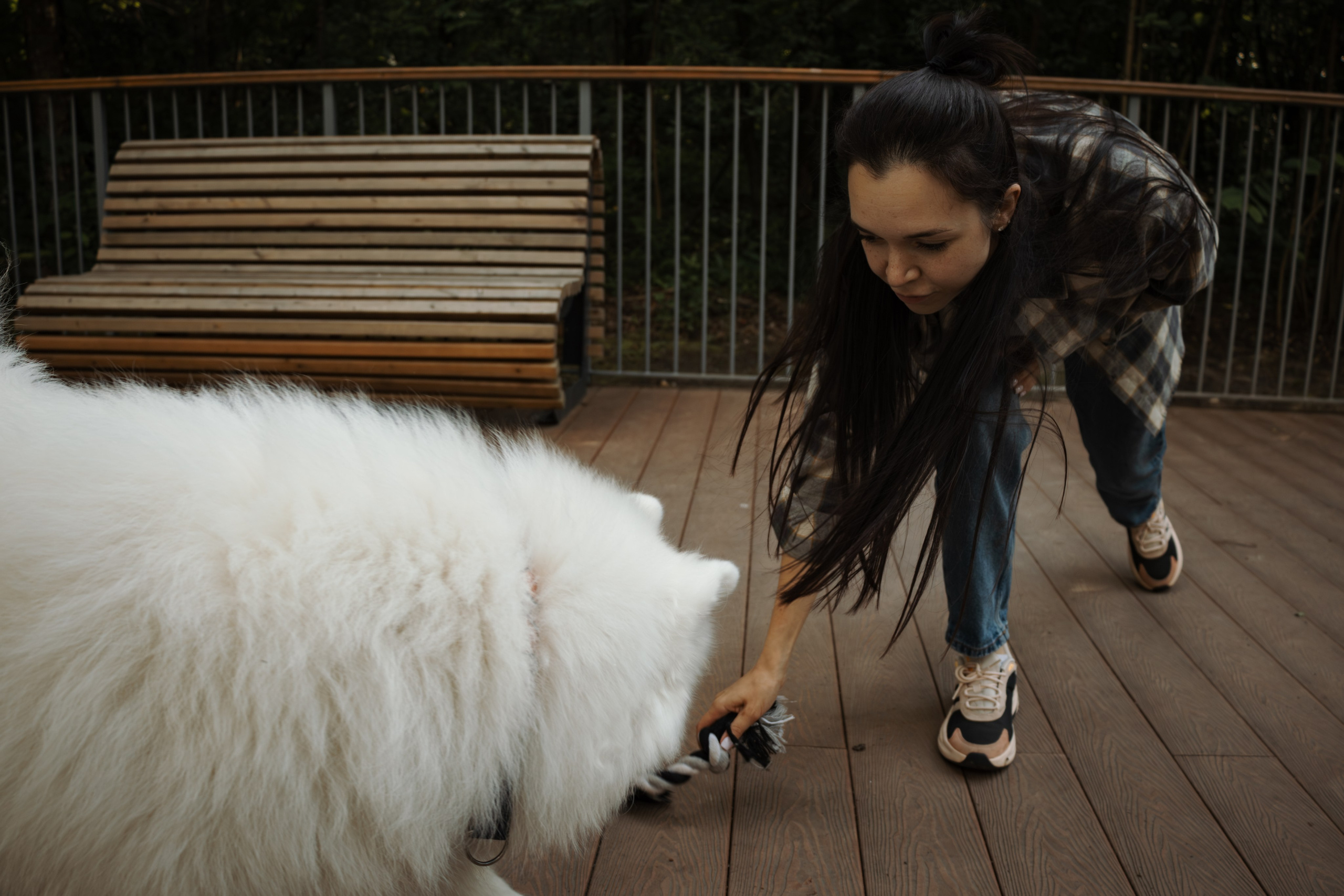 Фотосессия девушки с 2 собаками самоедами в лесопарке. Фотограф-анималист в Москве Екатерина Тихонова