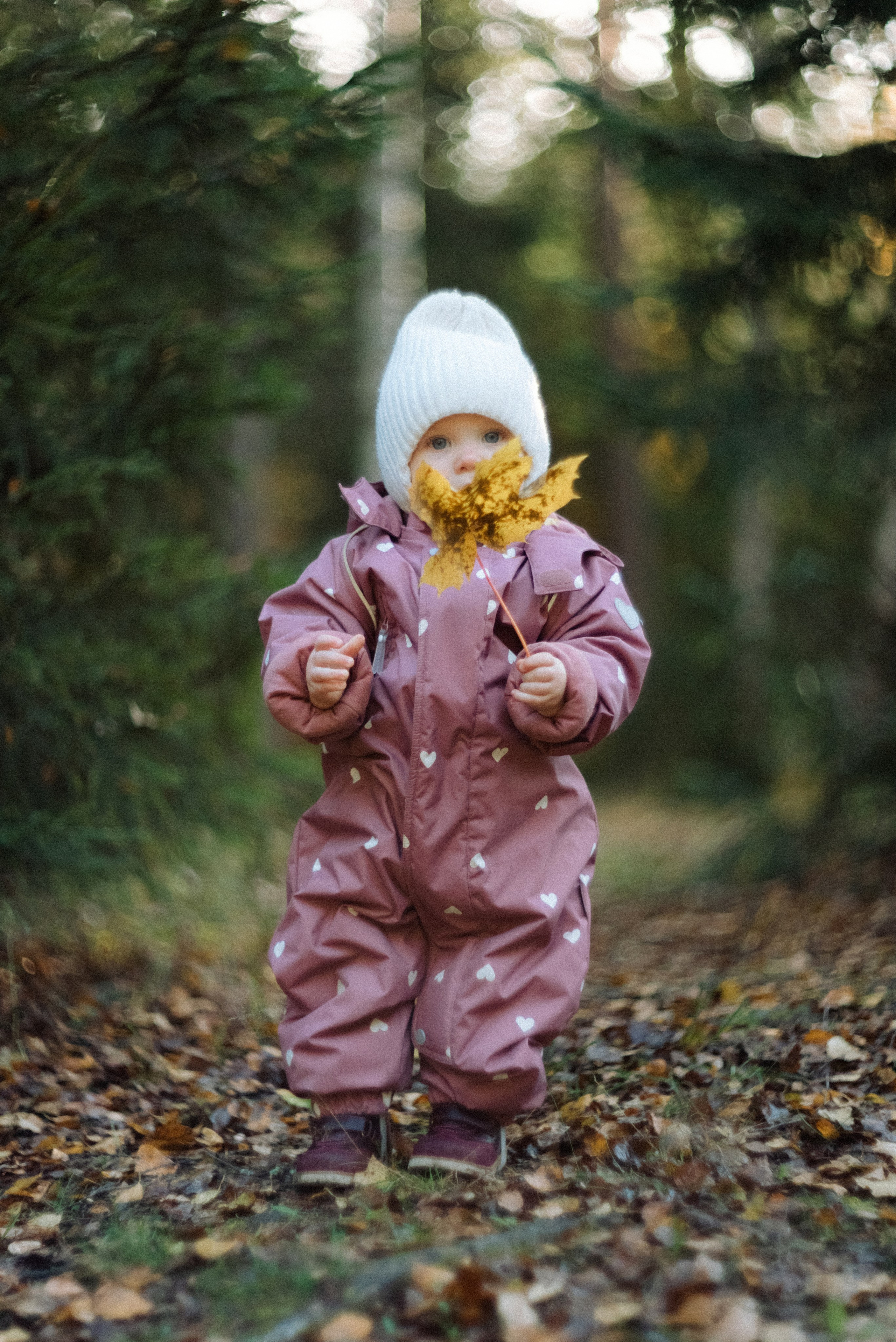 Alena | Mira | Kostya. Свадебный фотограф Санкт-Петербург DanyaPhotoart