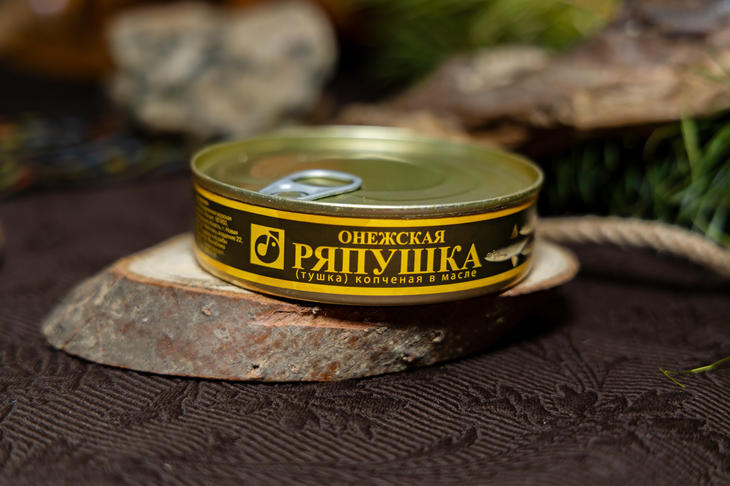 Ярмарка-фестиваль «Я-Я, КЕМСКА ВОЛОСТЬ!» (2024 г.). Аэросъемка. Фото и Видео в Карелии. Алексей Фрилунд