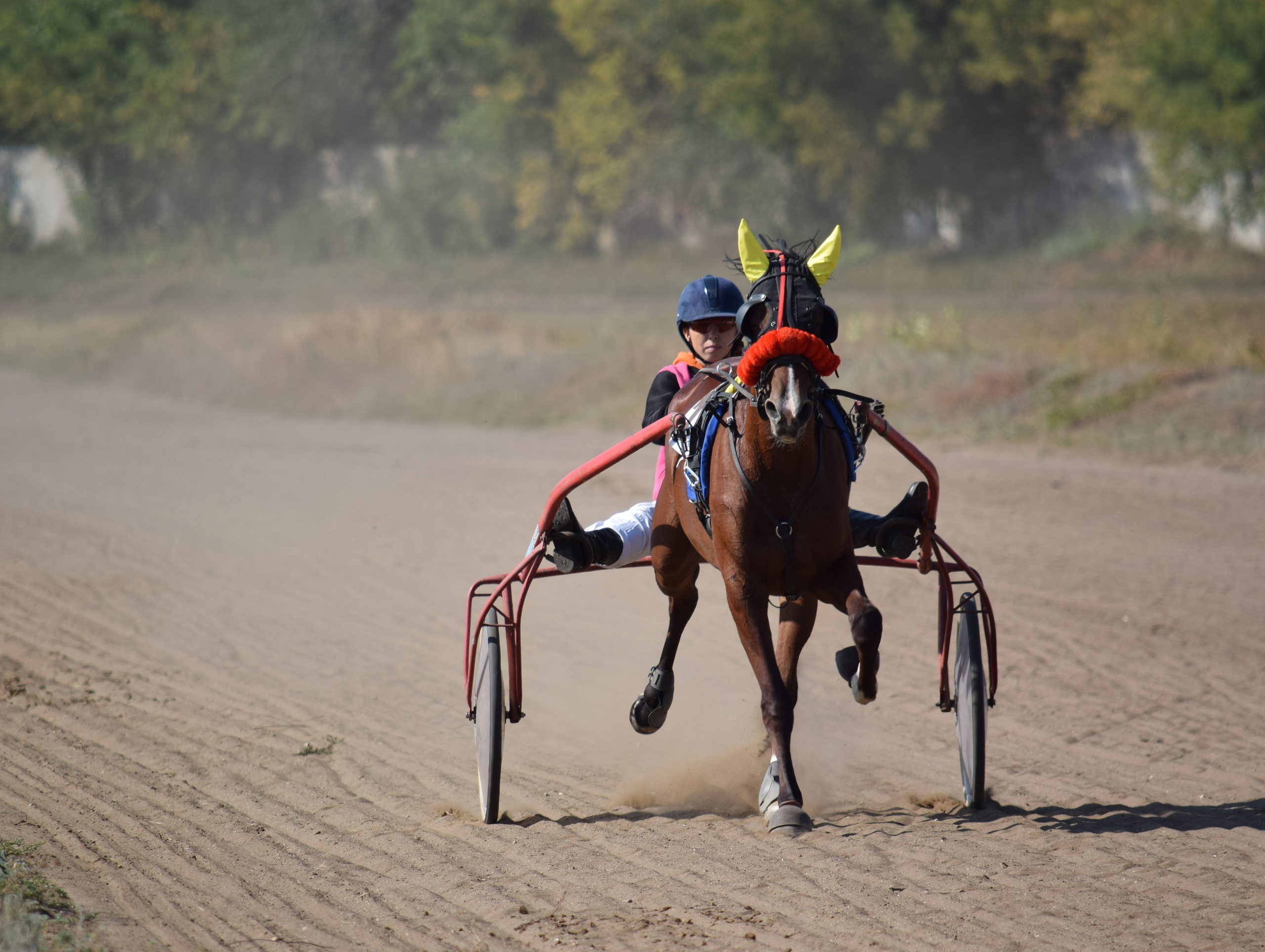 Кубок Губернатора, ипподром Саратов, 2019 г. Конный фотограф в Саратове Юлия Иванова