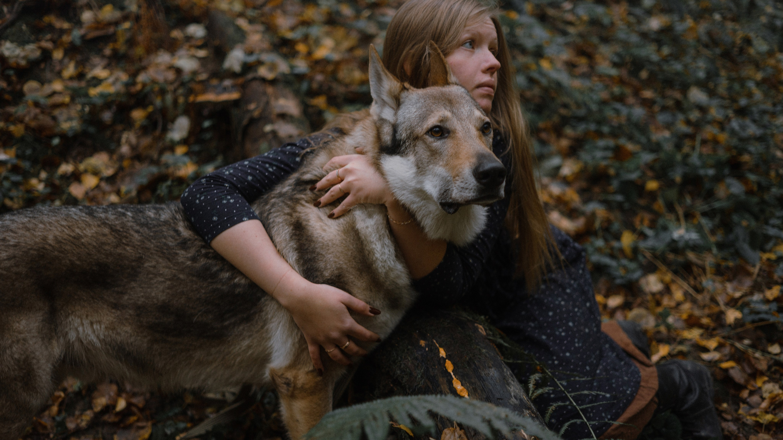 Полина и Вегард. Фотограф-анималист Богданова Полина