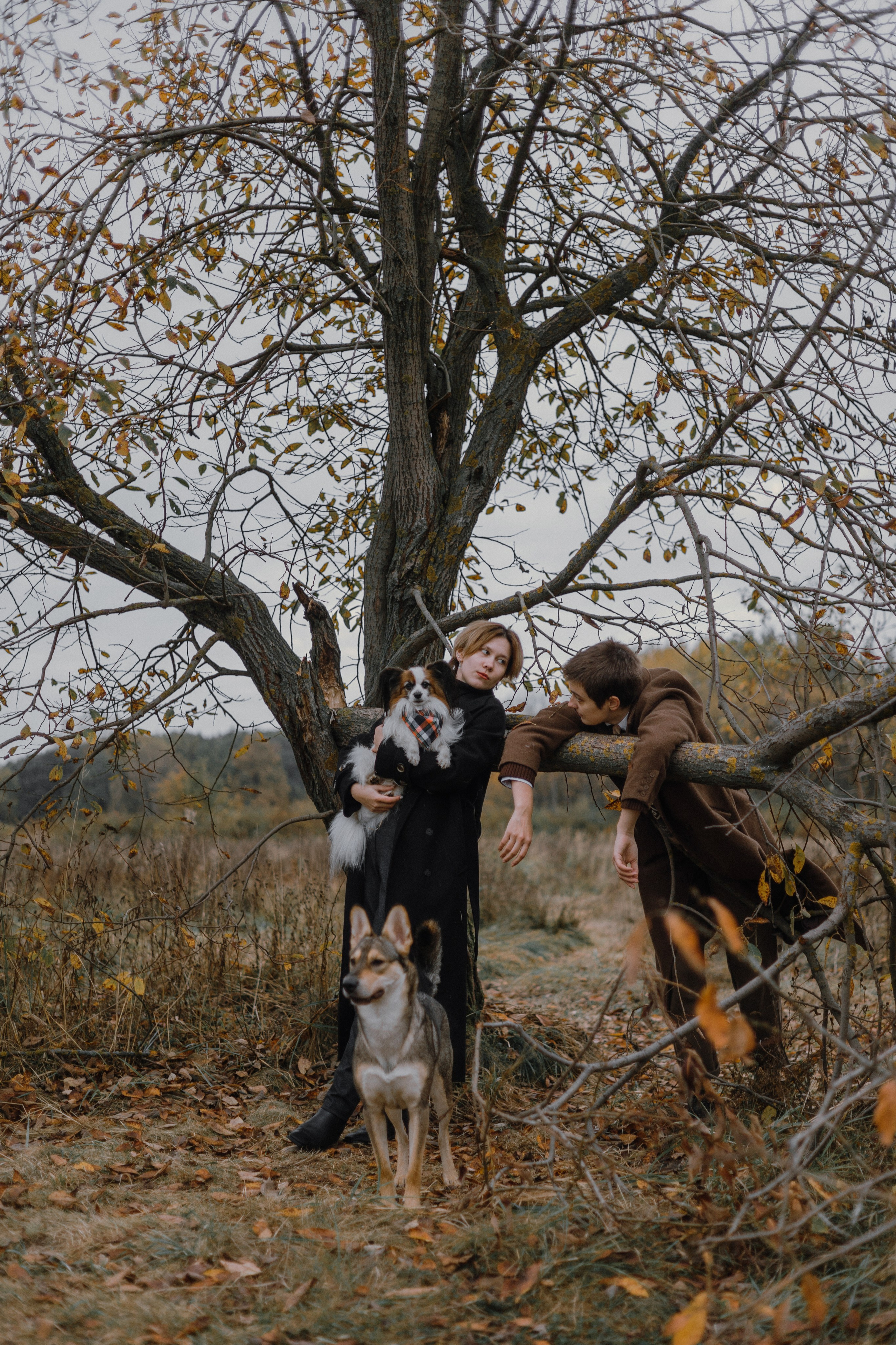 Маша, Катя, Астрид и Мася. Фотограф-анималист Богданова Полина