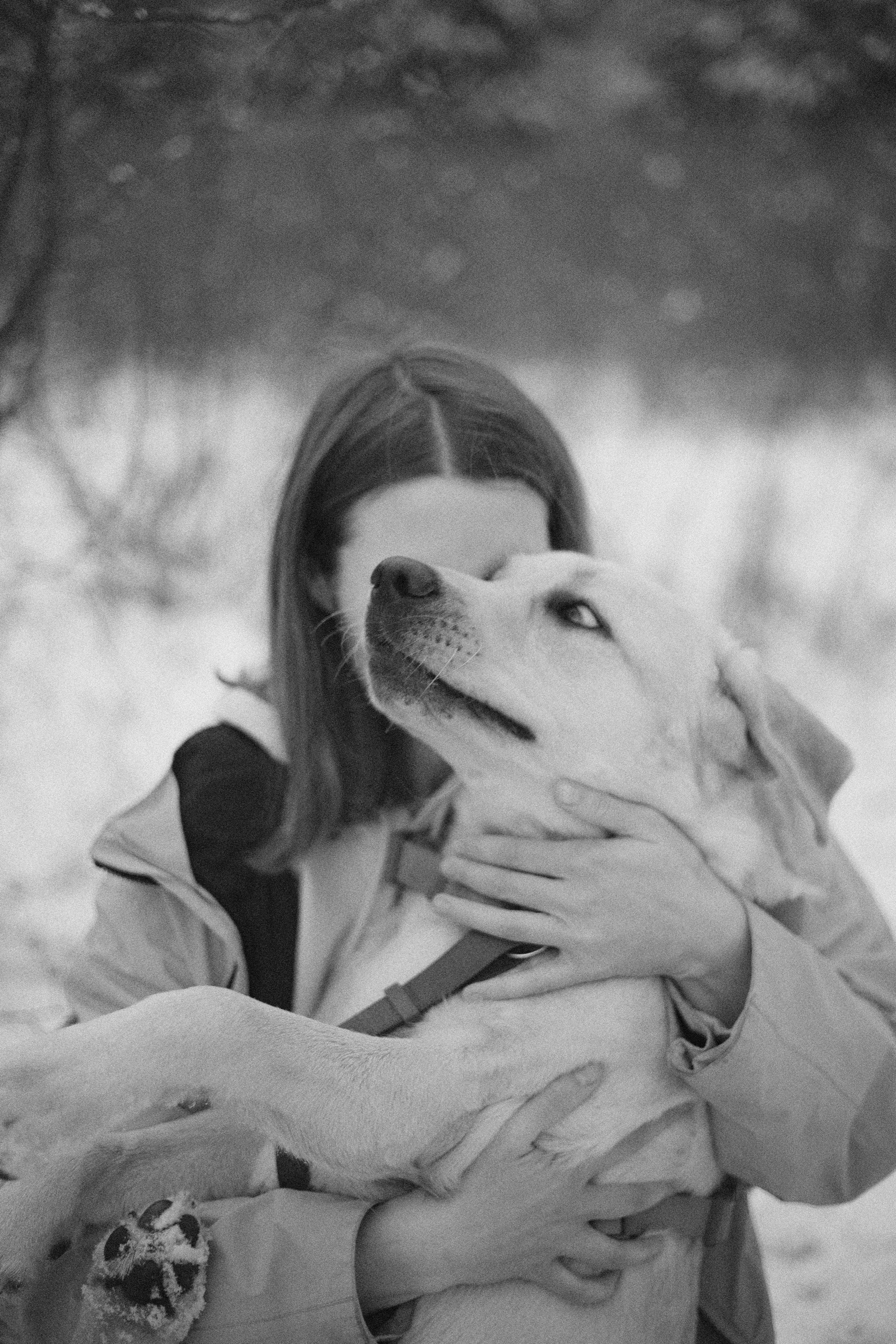 Маргарита и Варди. Фотограф-анималист Богданова Полина