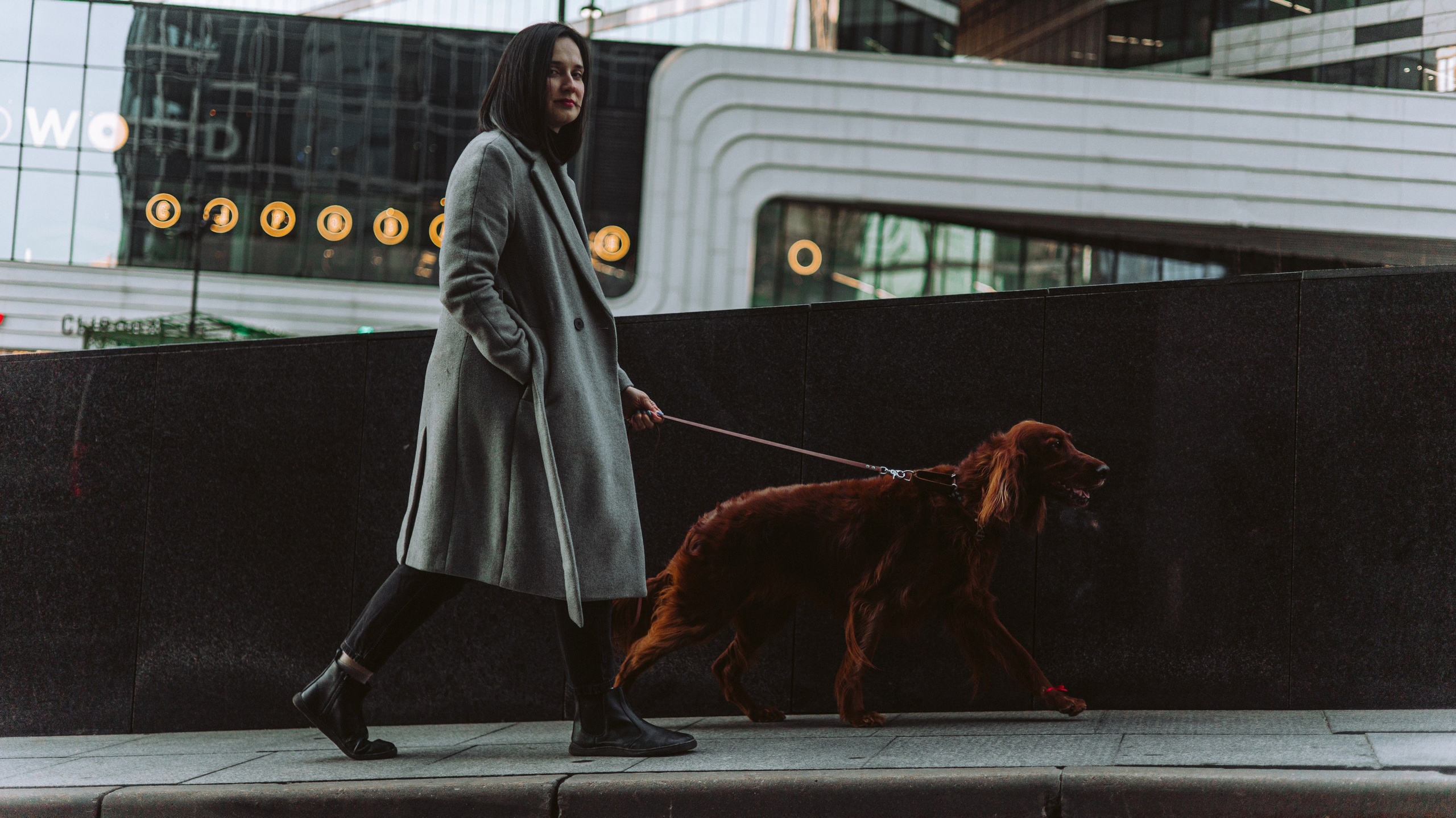 Маша и Лика. Фотограф-анималист Богданова Полина