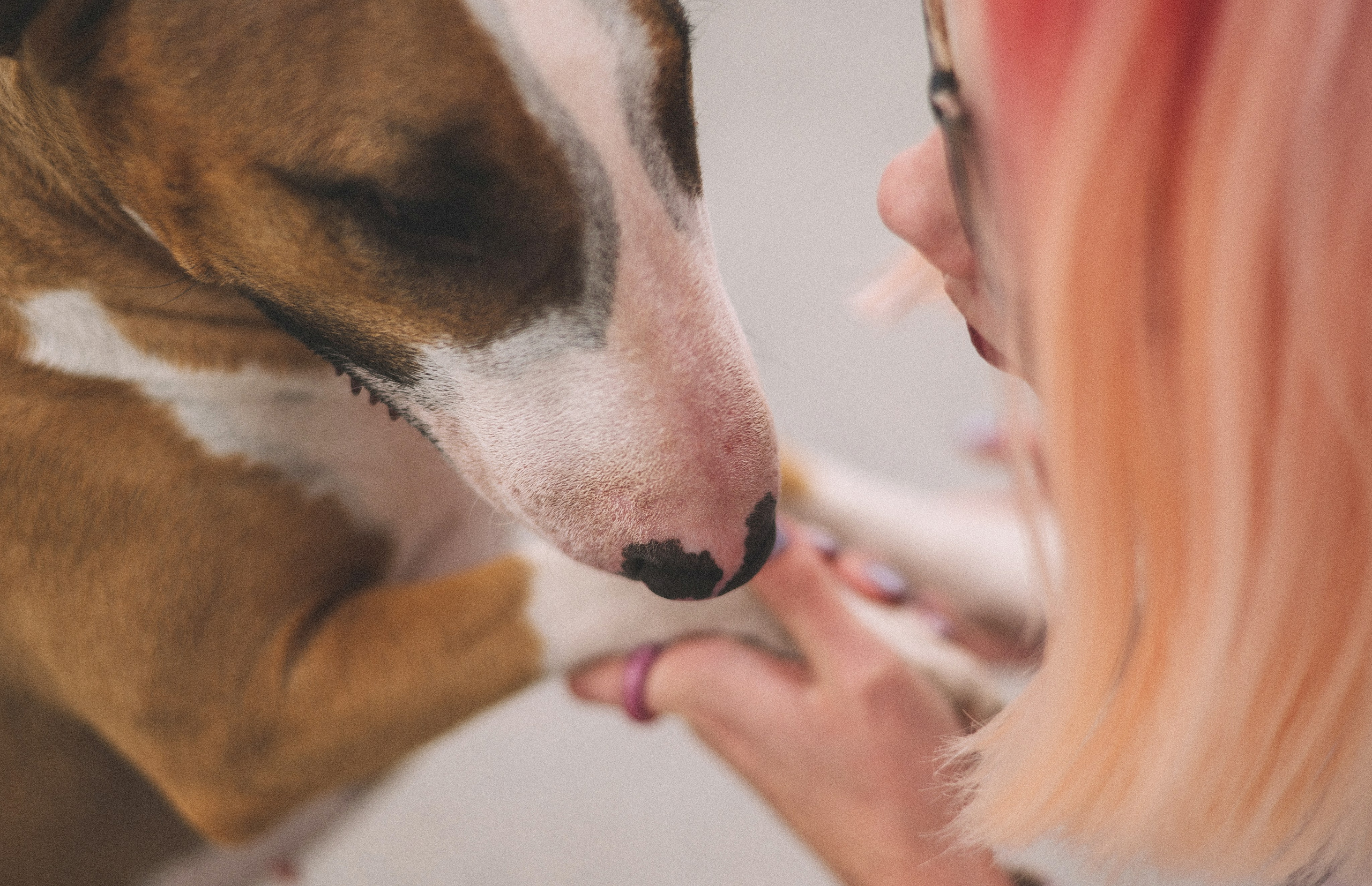 Маша и Рулька. Фотограф-анималист Богданова Полина