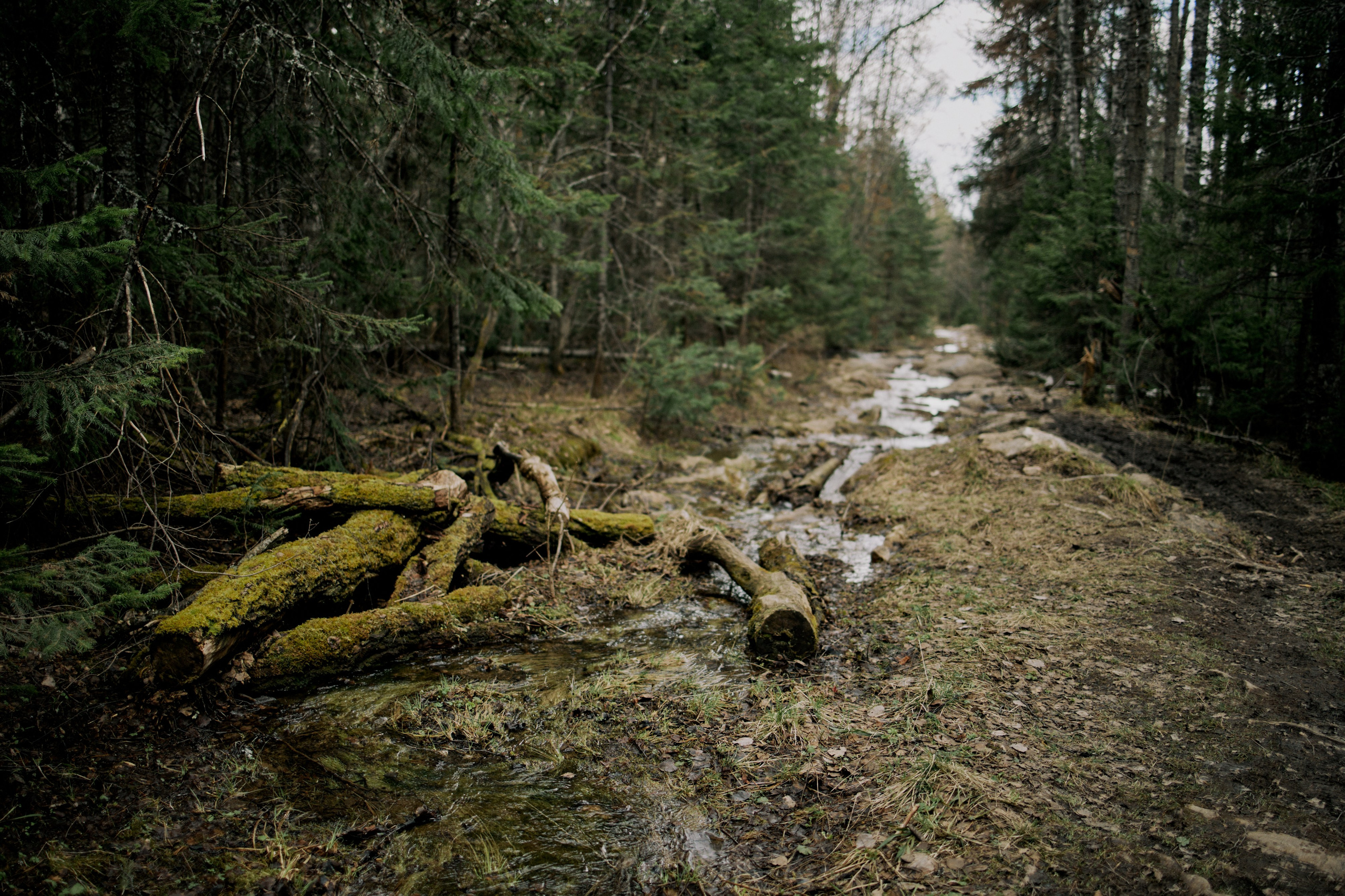 Поход Таганай. Хороший репортажный и промышленный фотограф в Казани Алексей Щелконогов