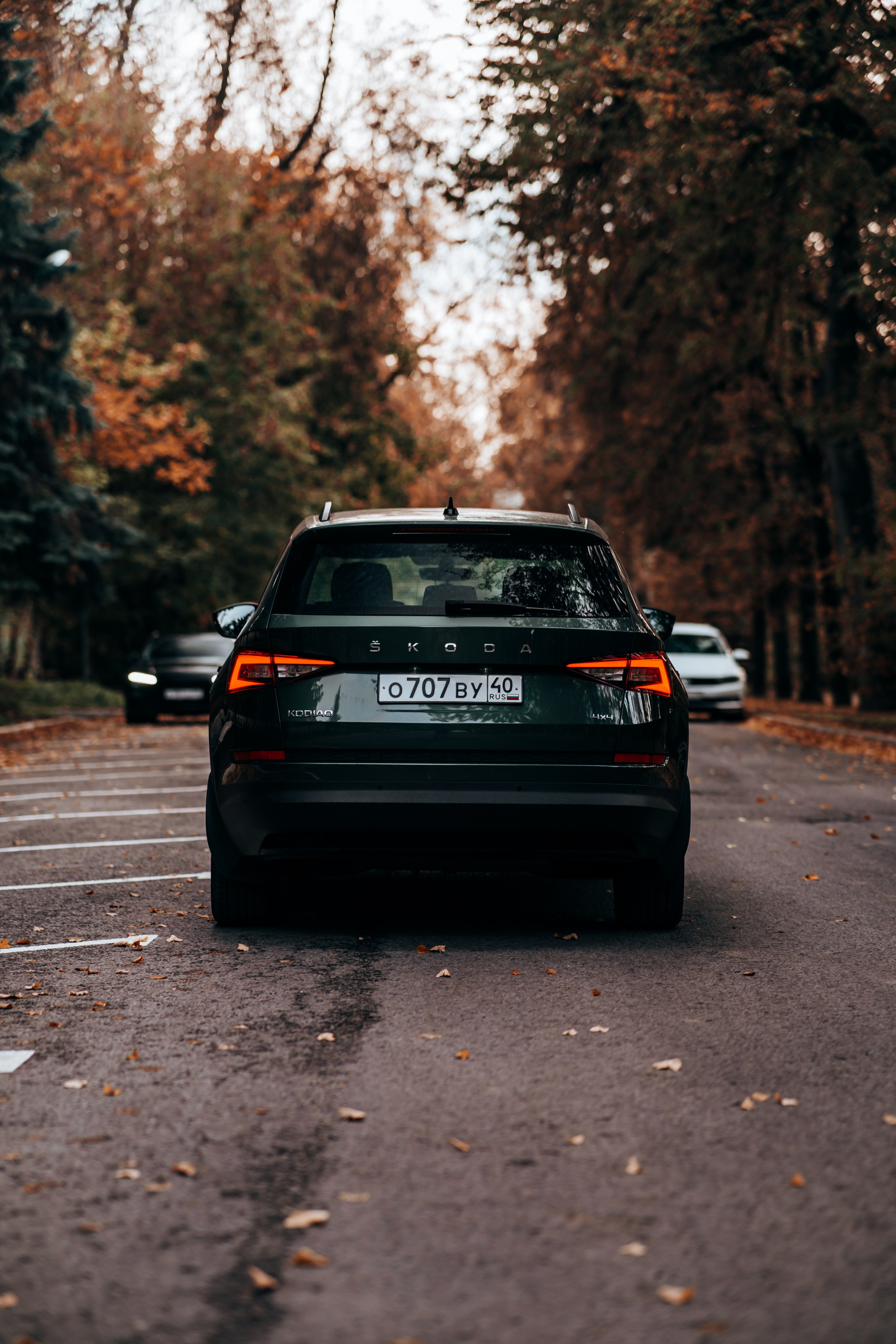 Skoda Kodiaq. Vlad Trykov