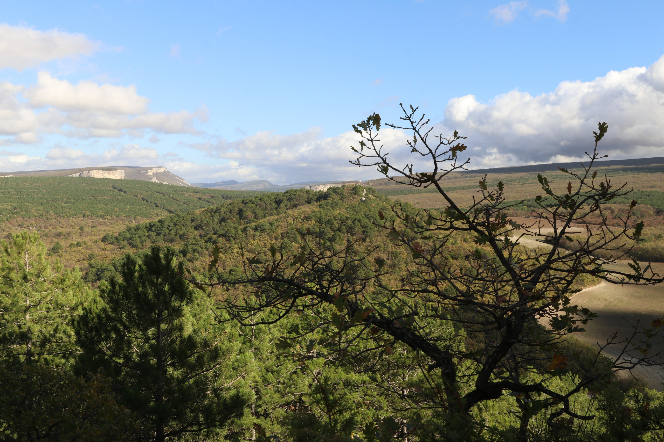 Крым. ЮБК (Гурзуф, Судак и их окрестности). Ноябрь 2023. Путешественник-фотограф из Санкт-Петербурга Татьяна Свистулина