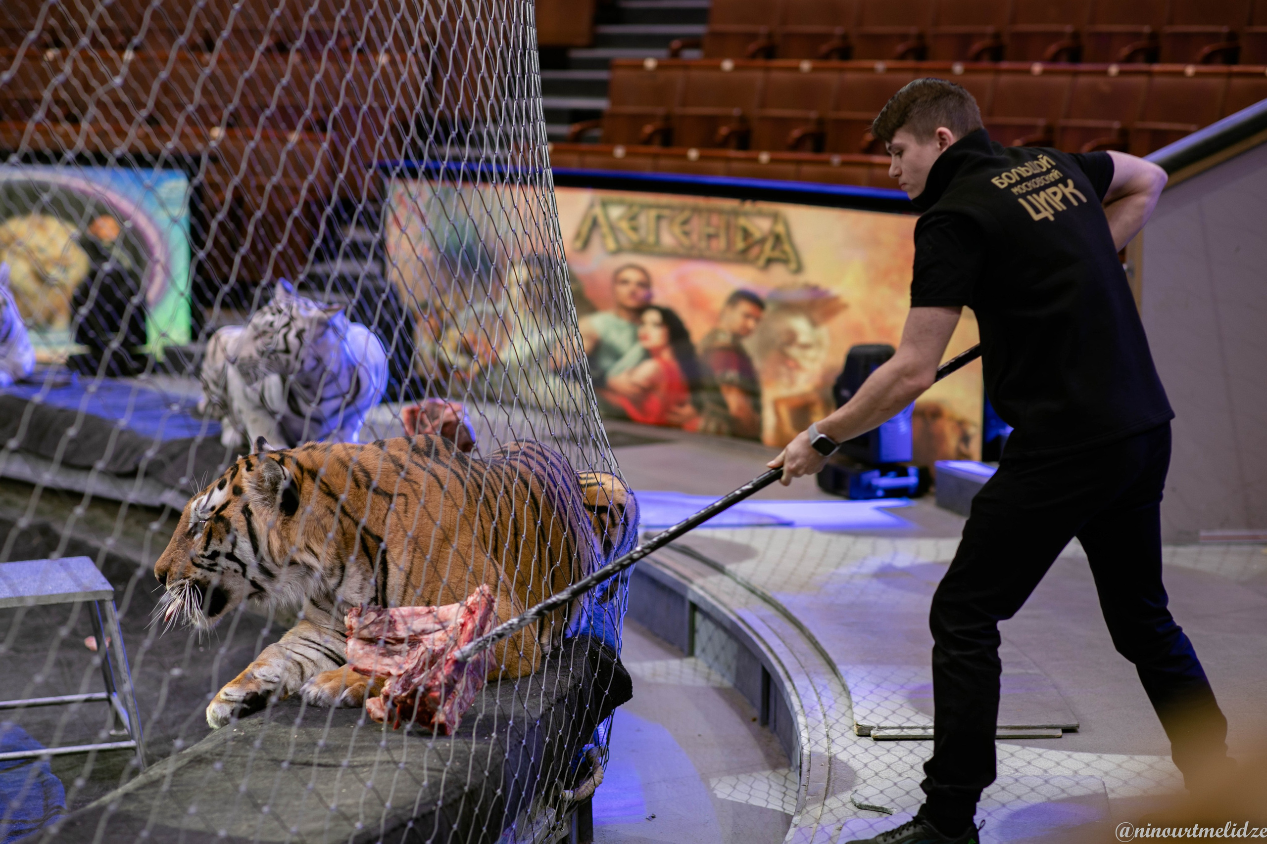 В закулисье у братьев Запашных. Art photographer Nino