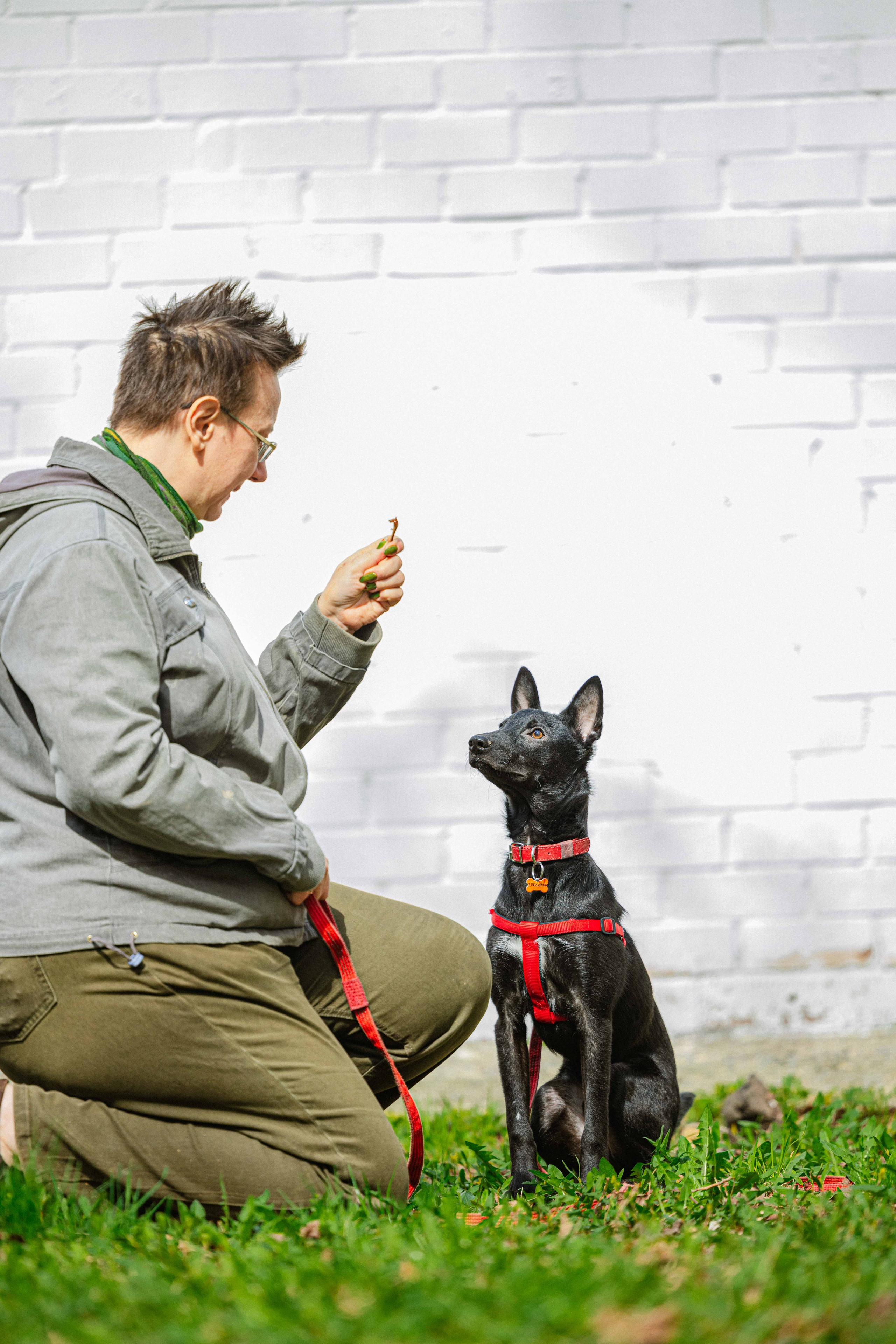 Булька. Фотограф-анималист в Москве Лера Черноног