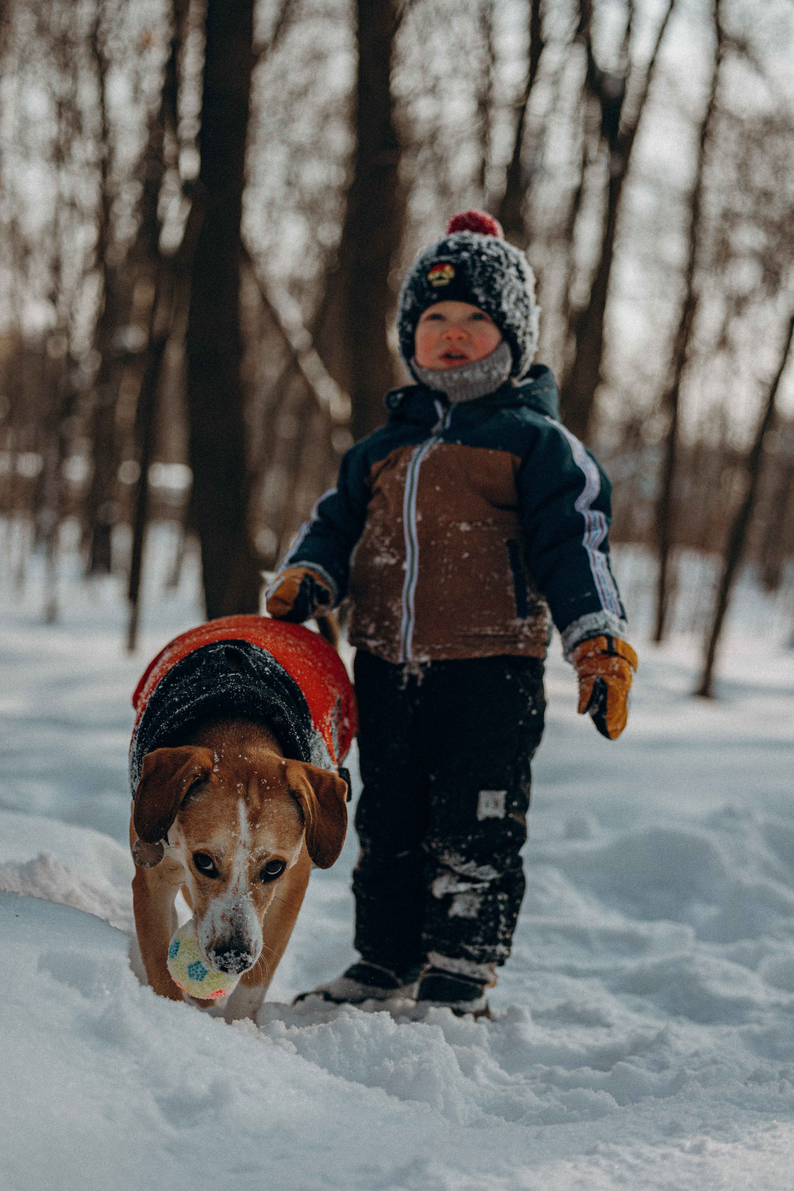 Свобода и ее семья. Фотограф-анималист в Москве Лера Черноног