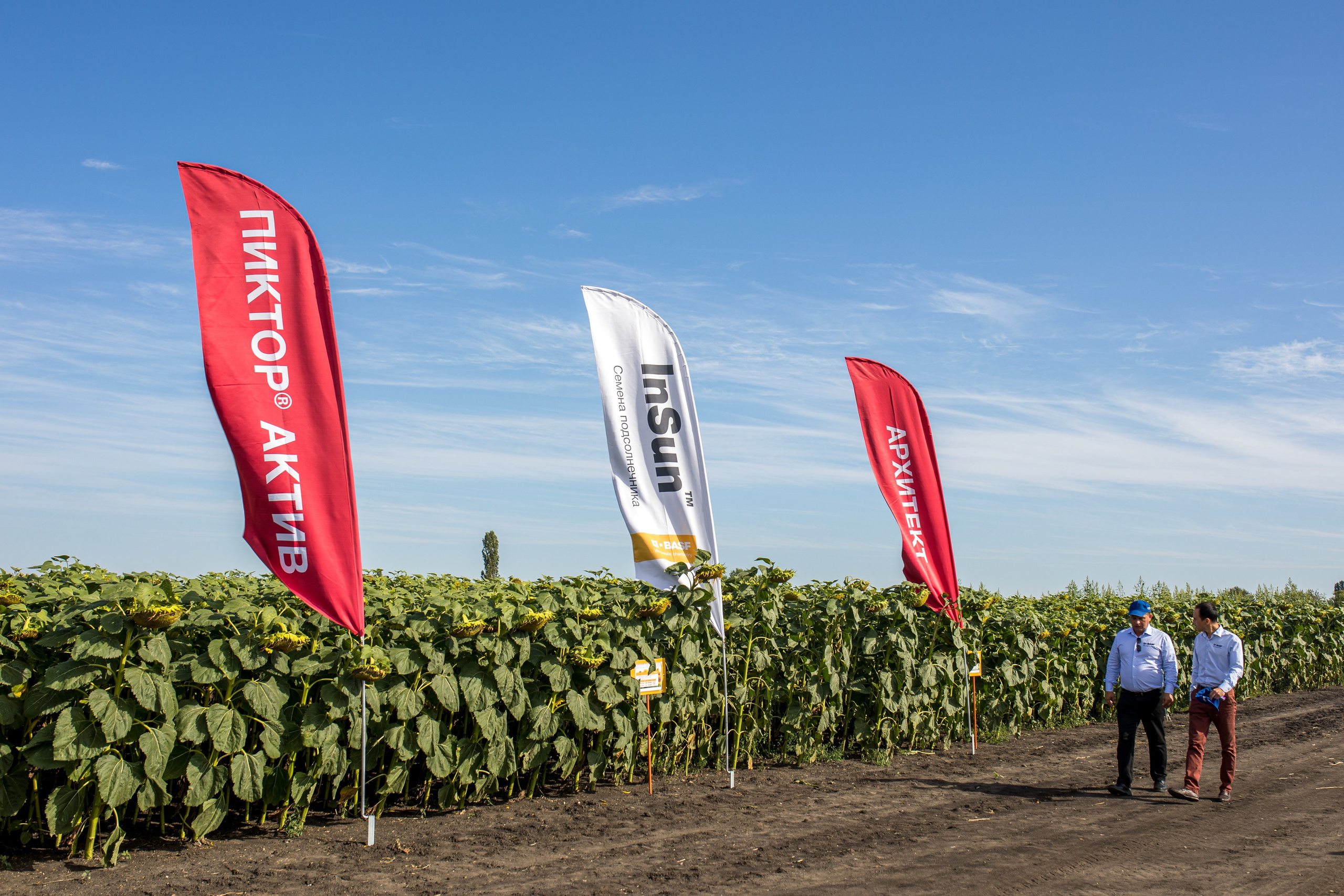 Решения для сельского хозяйства BASF 16.08.2022. Владислав Волков | Фотография и видеосъемка в Воронеже